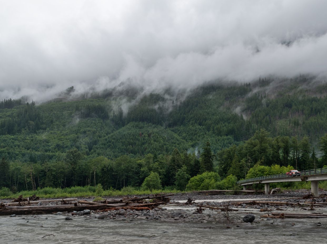 Carbon River 