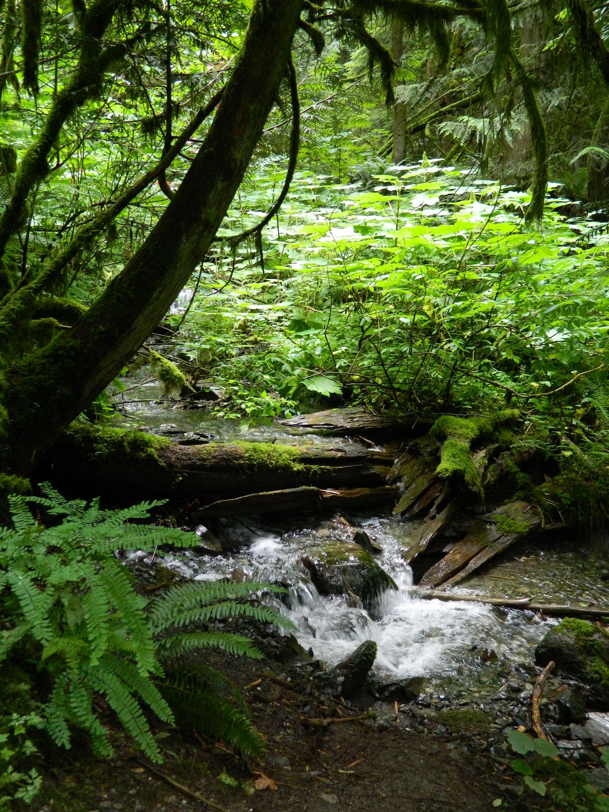 Bridal Veil Park