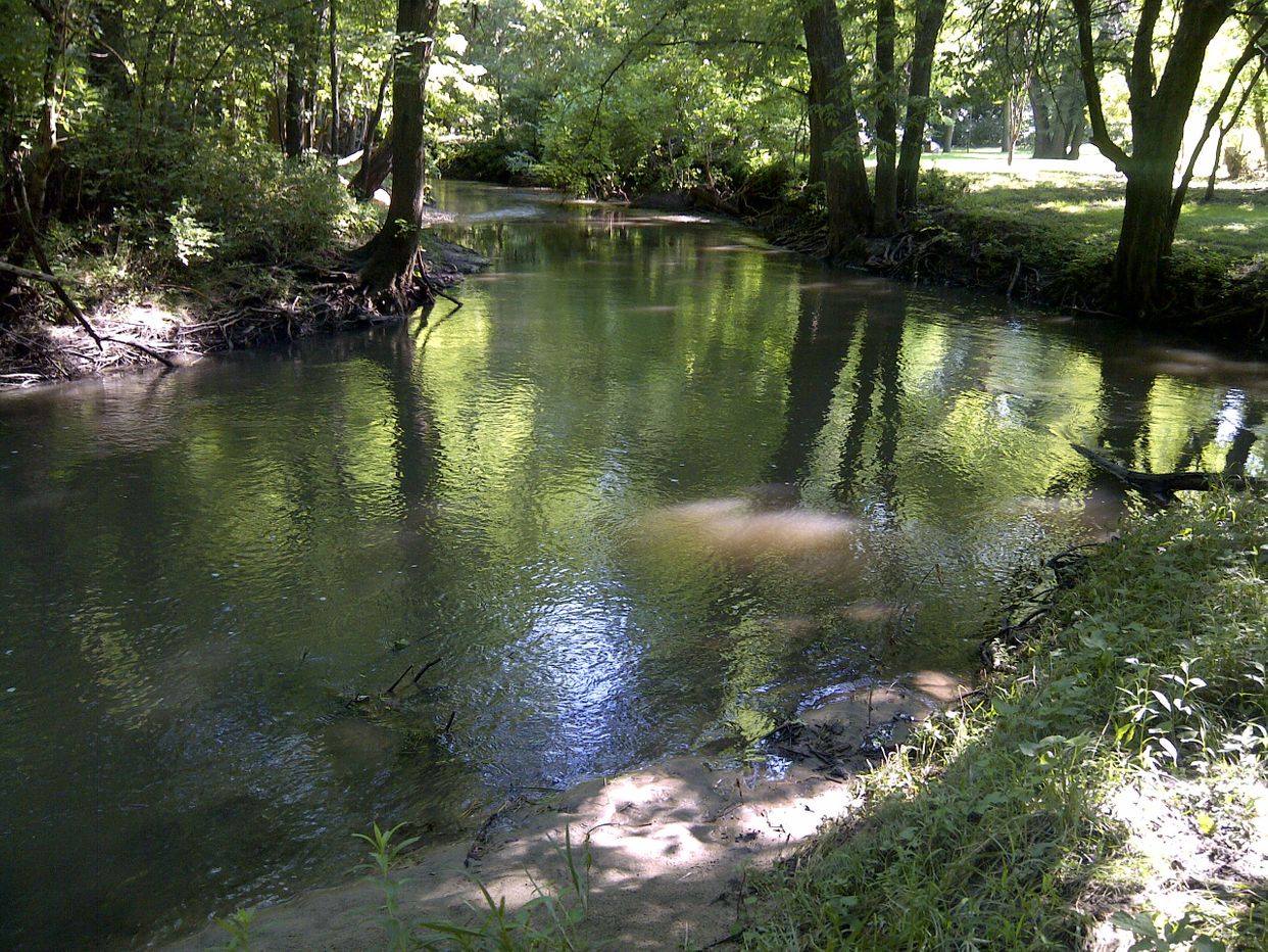 Stevens Creek 