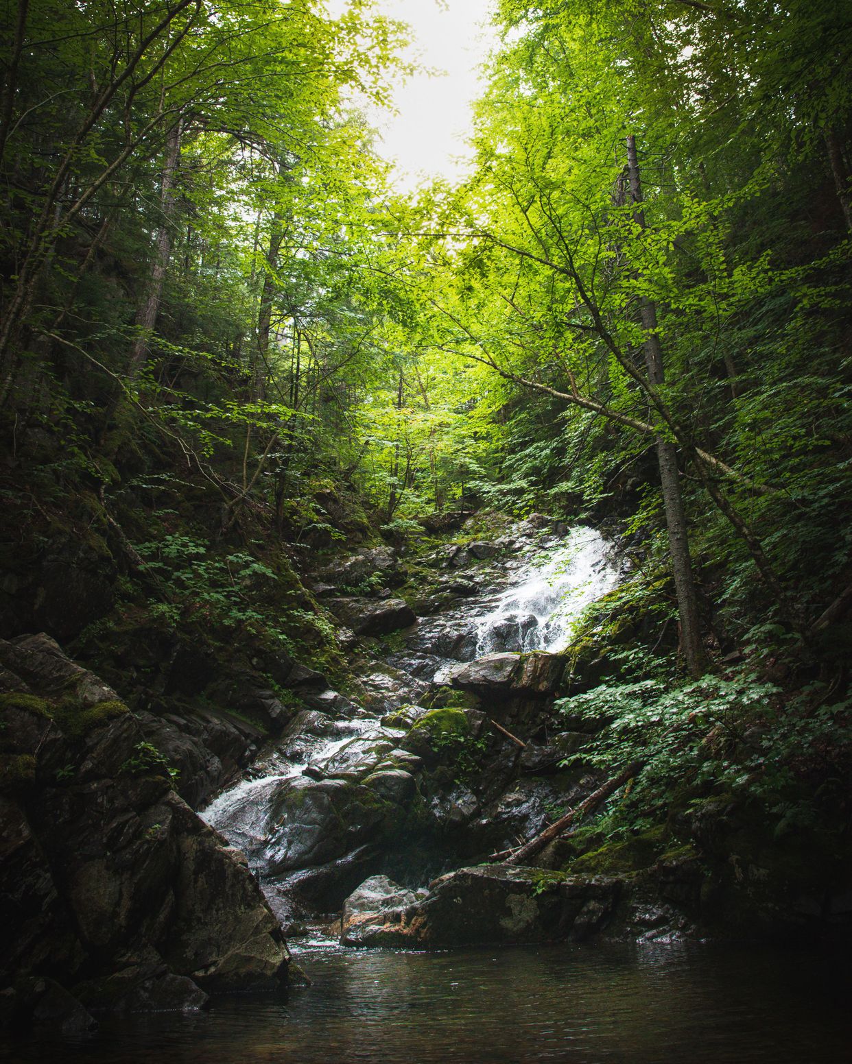 MacIntosh Brook Falls