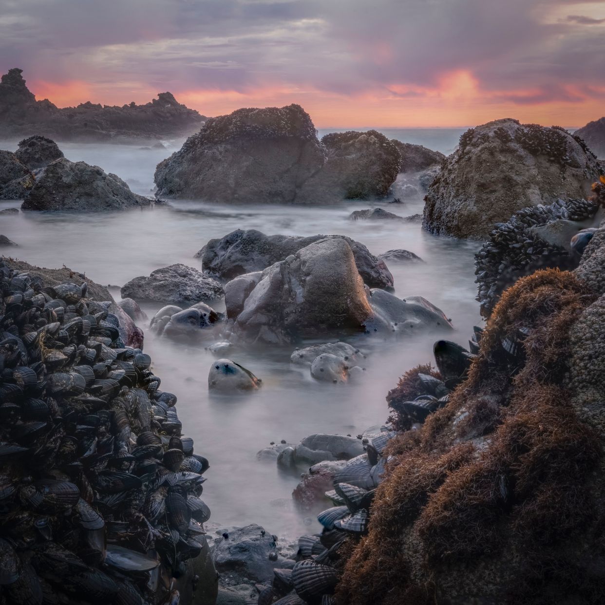 Muir Beach