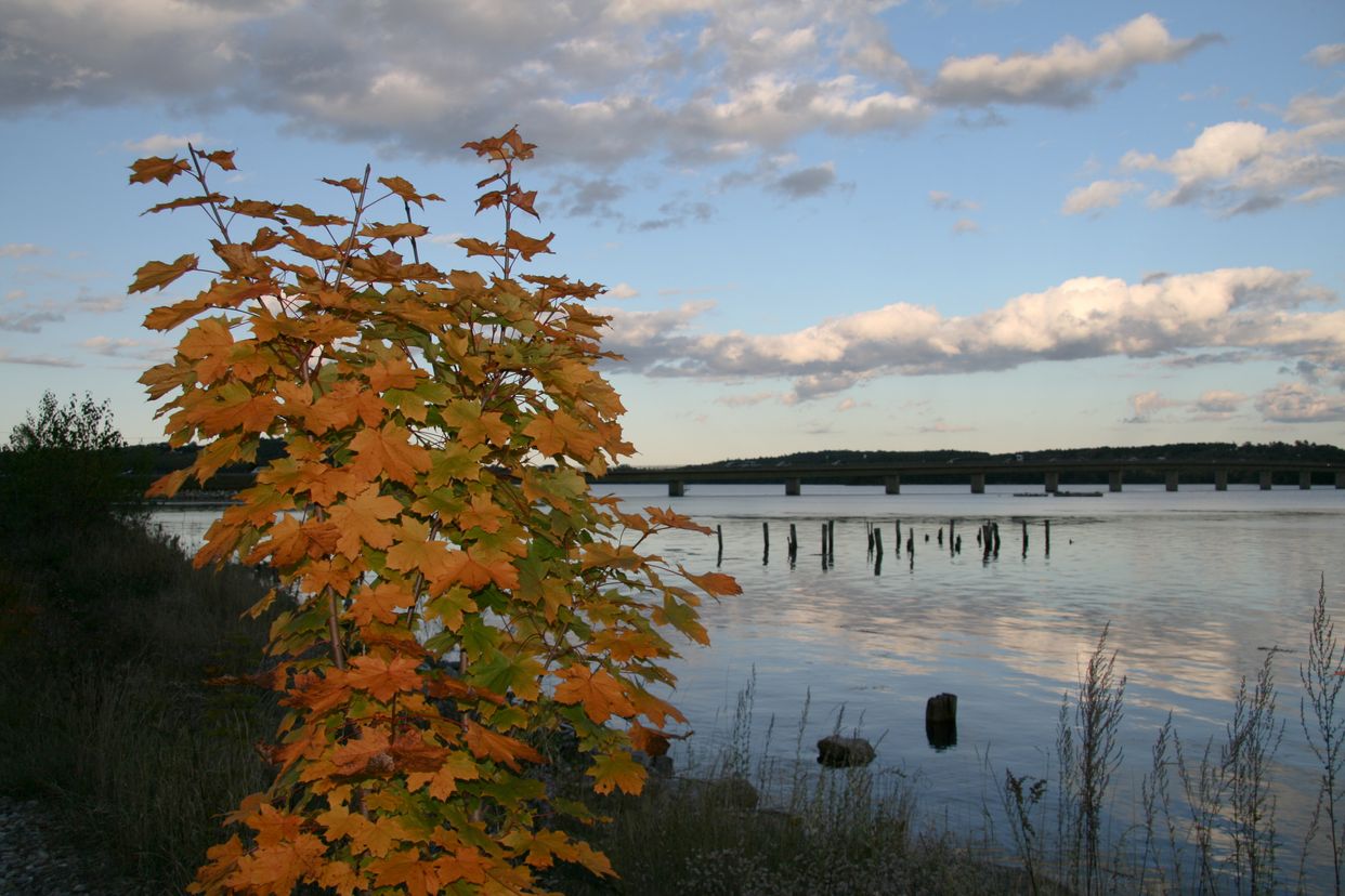 Sheepscot River