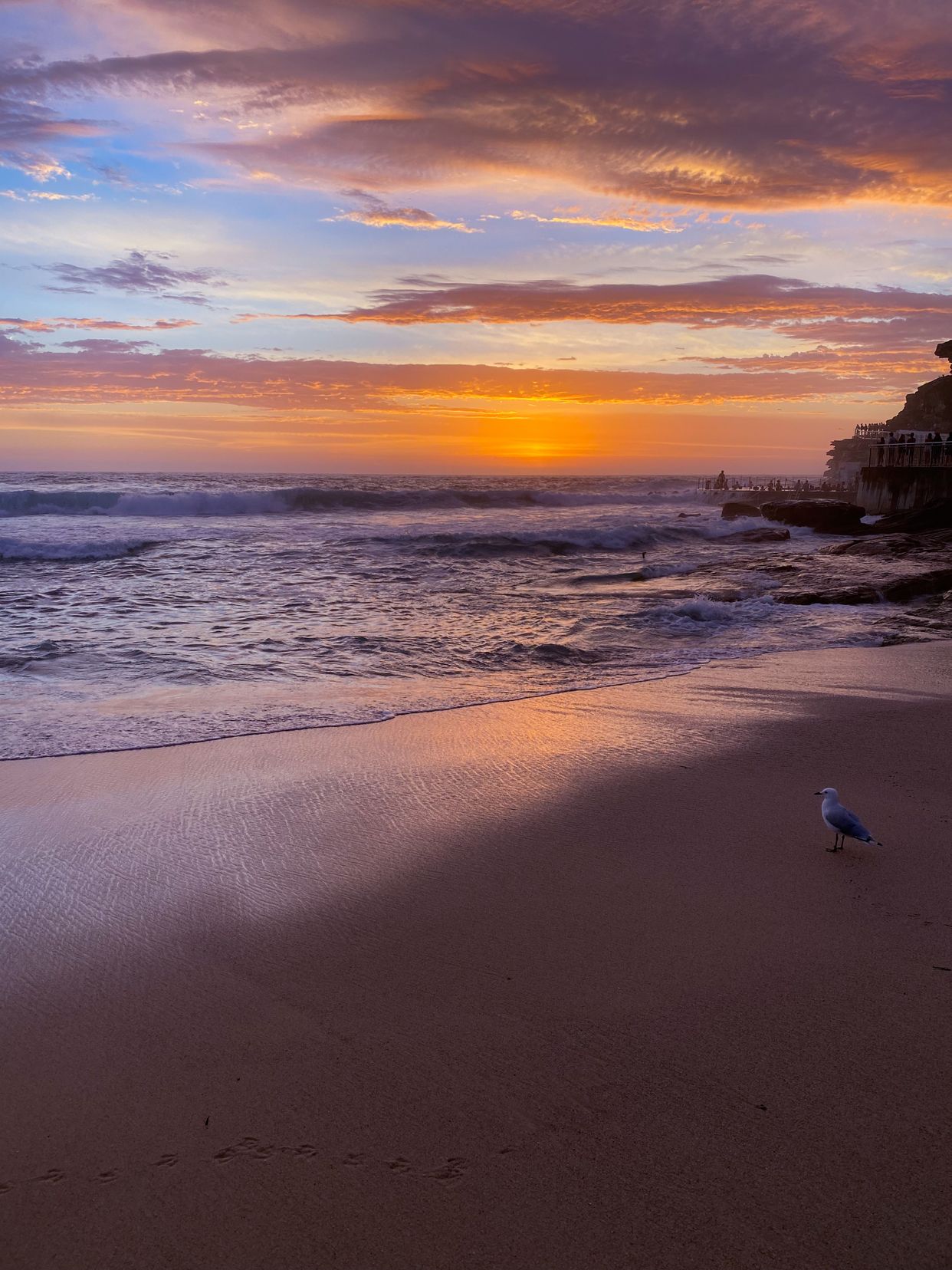 Bronte Beach
