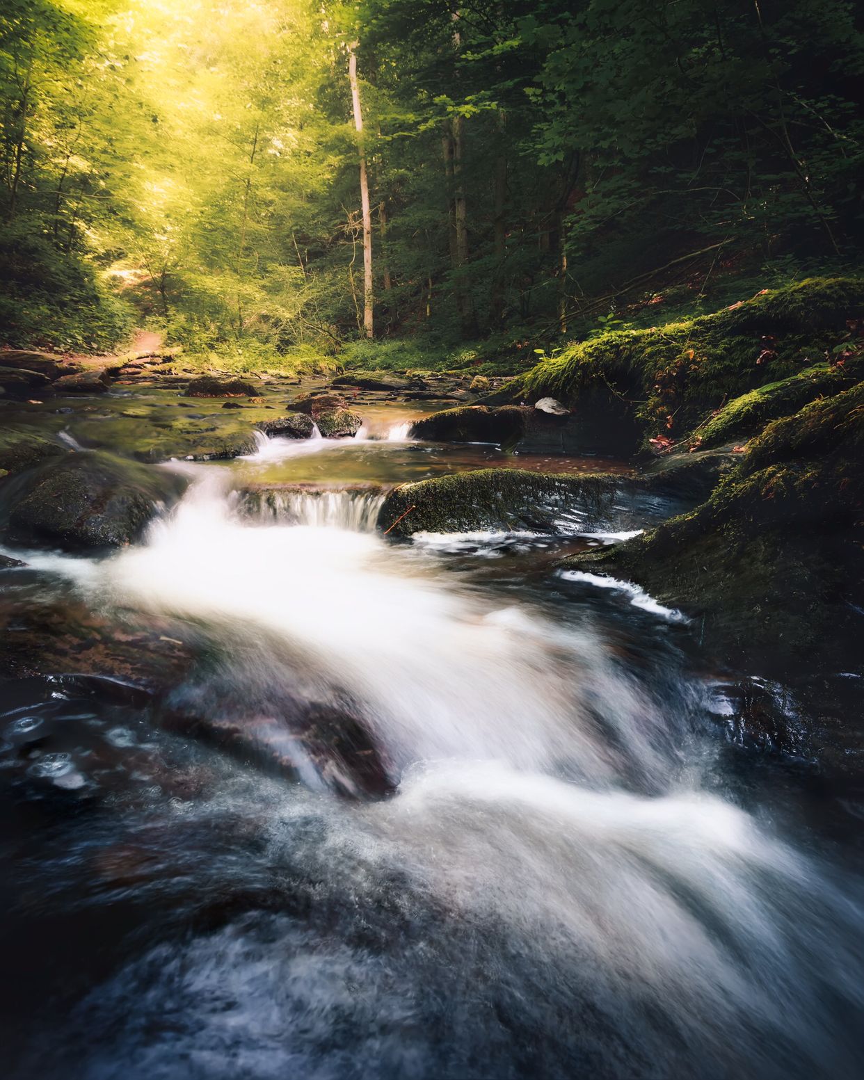 River Rapids