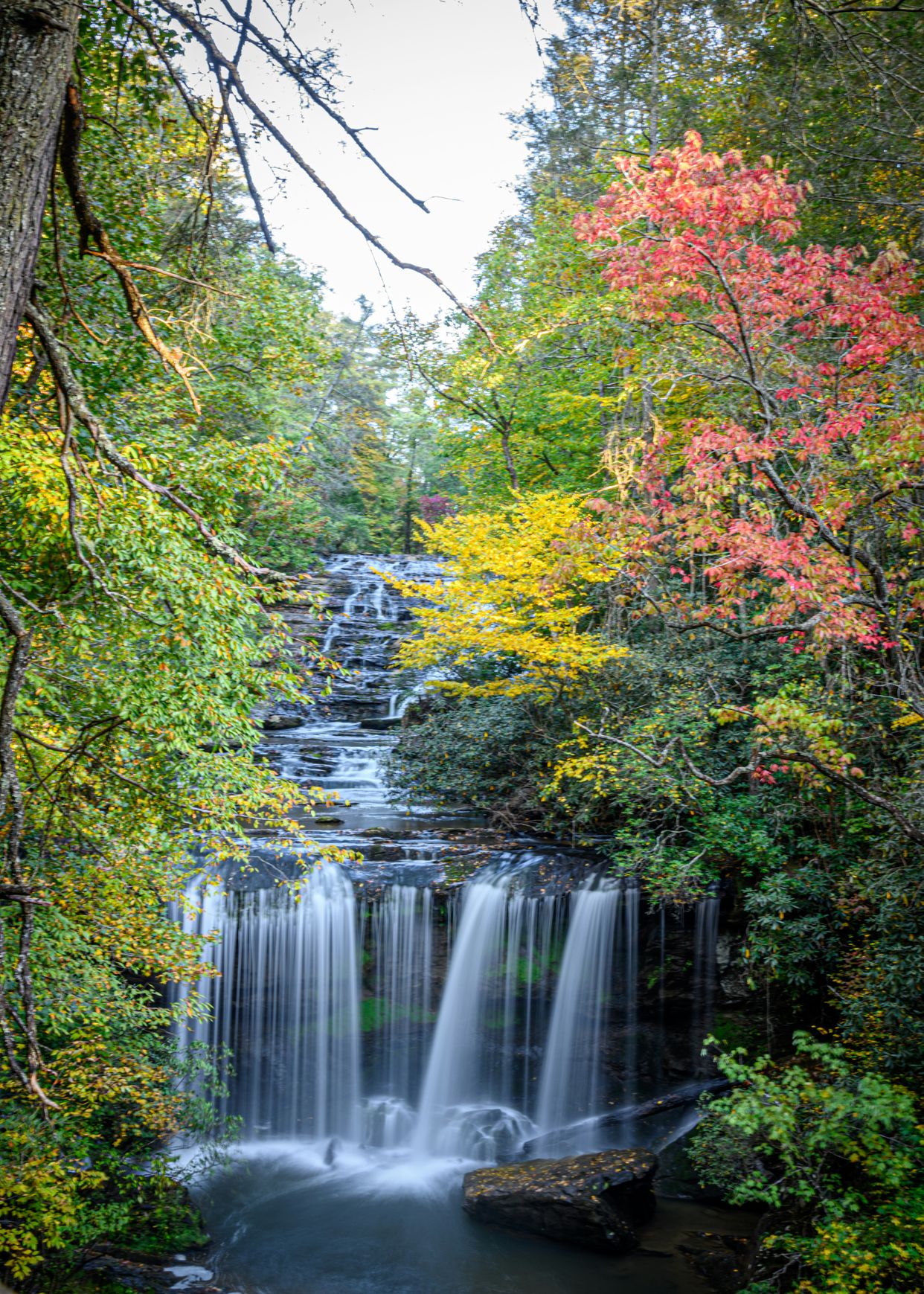 Brasstown Falls
