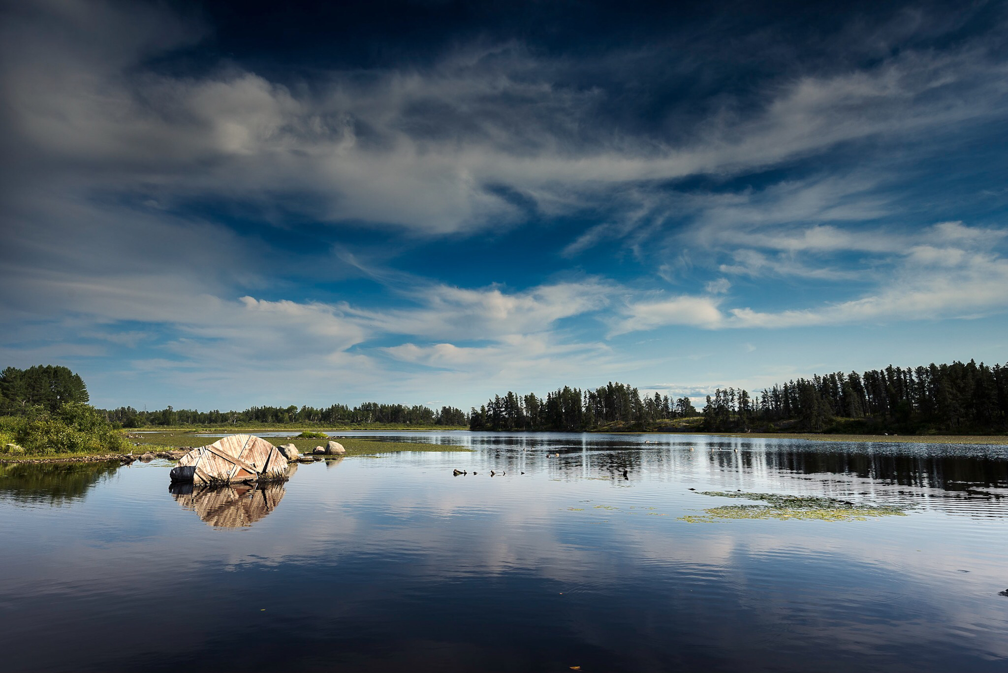 Alfred Hole Goose Sanctuary — Photo by Darren Fast