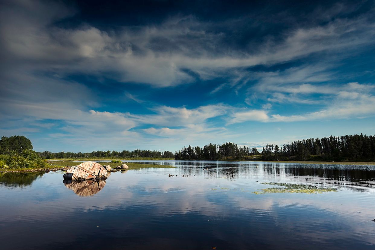 Alfred Hole Goose Sanctuary