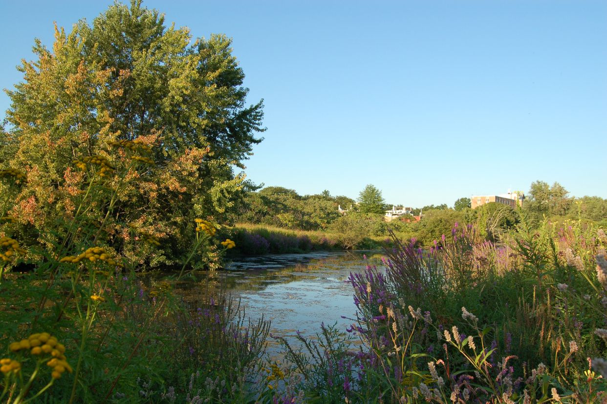 Little River