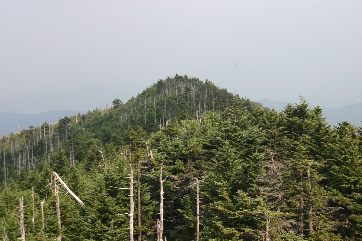 Mount Mitchell Observation Tower