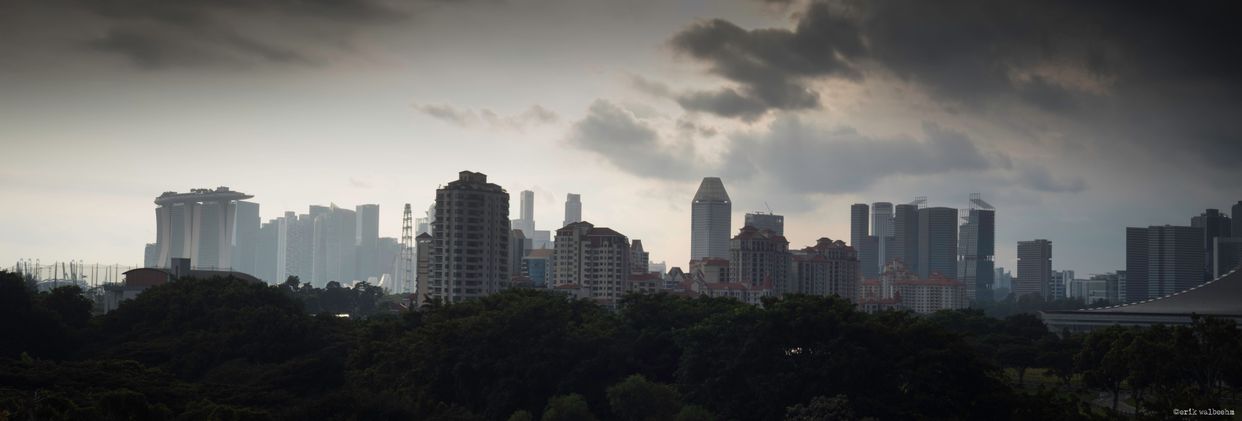 Singapore Cityscape