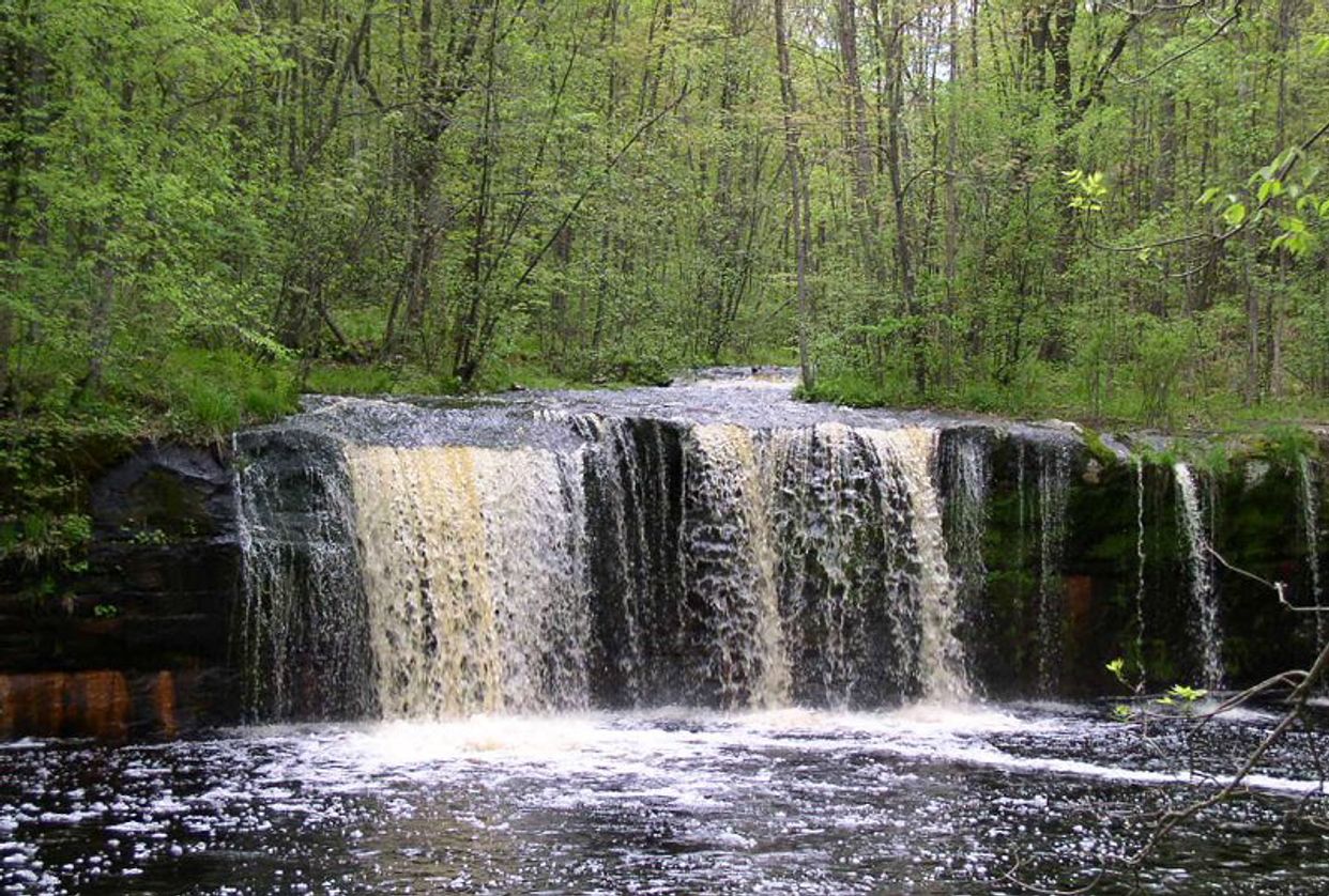 Wolf Creek Falls,