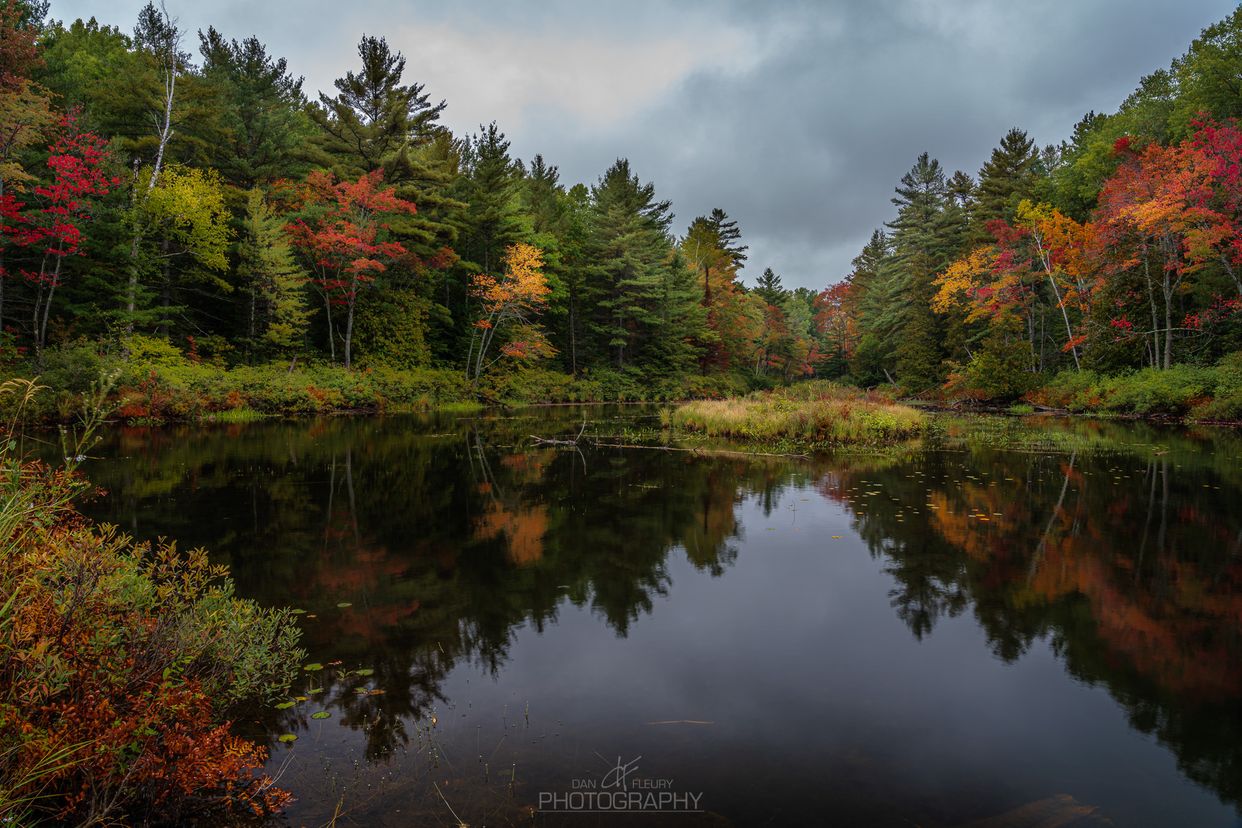 Buckshot Creek