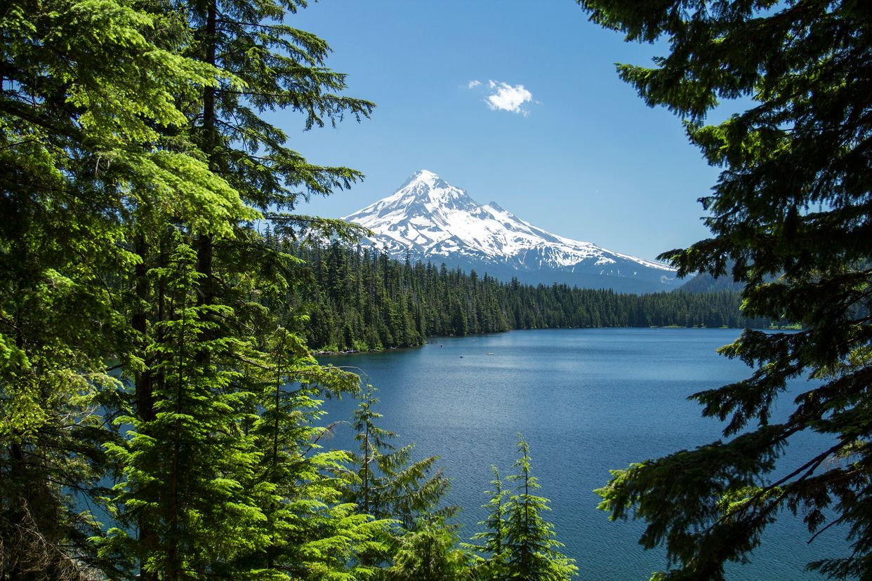 Lost Lake North Viewpoint