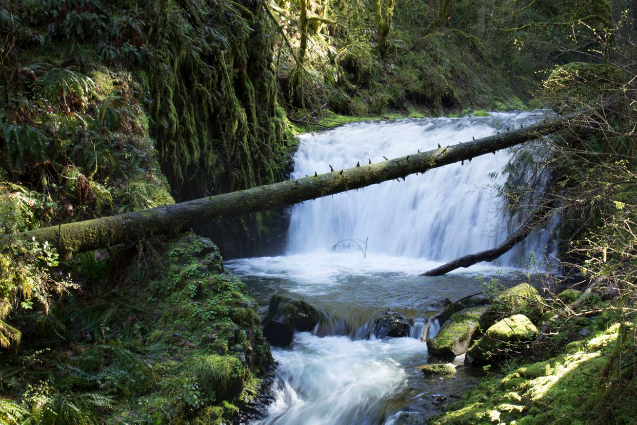 Dutchman Falls