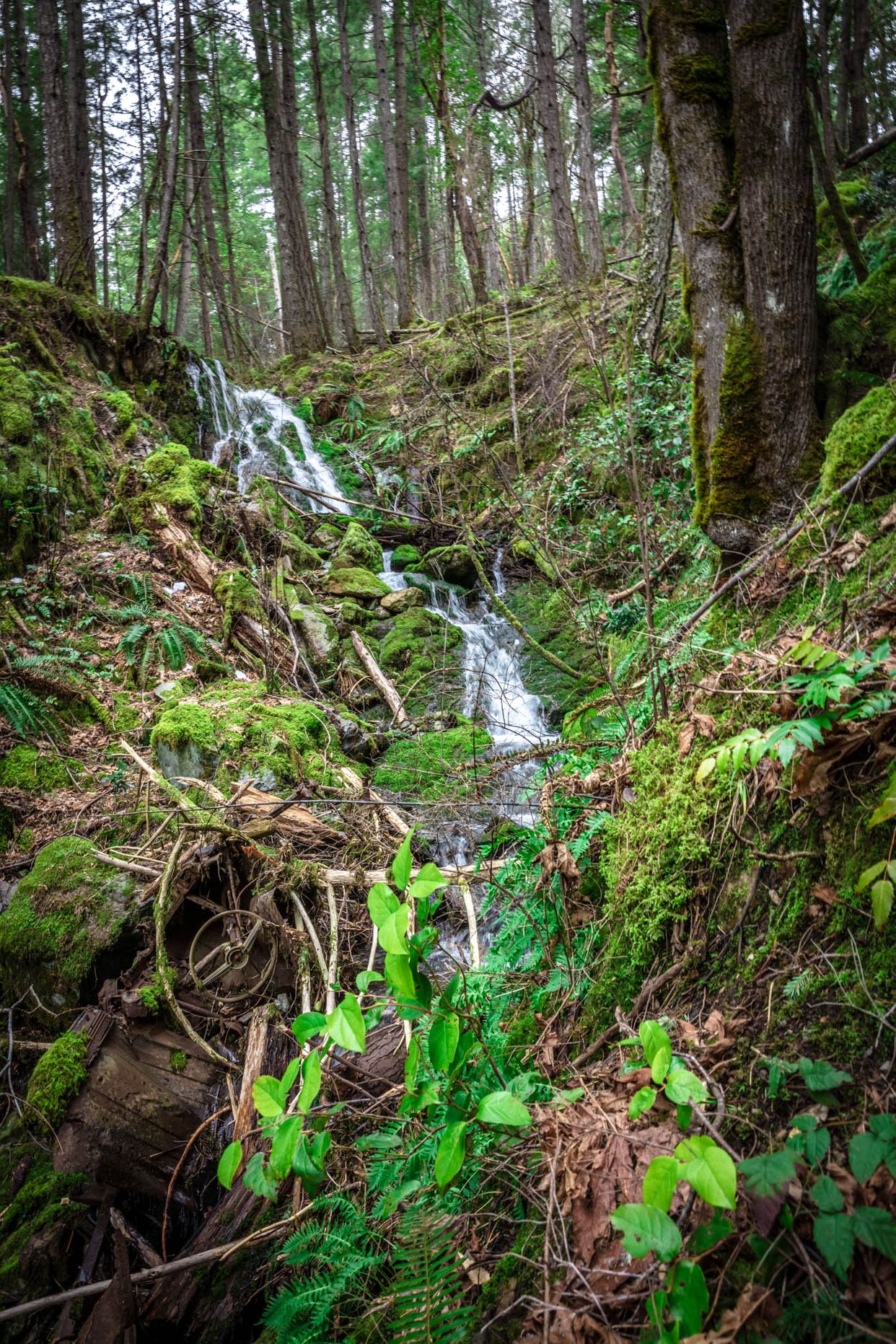 Broken Down Car Waterfall