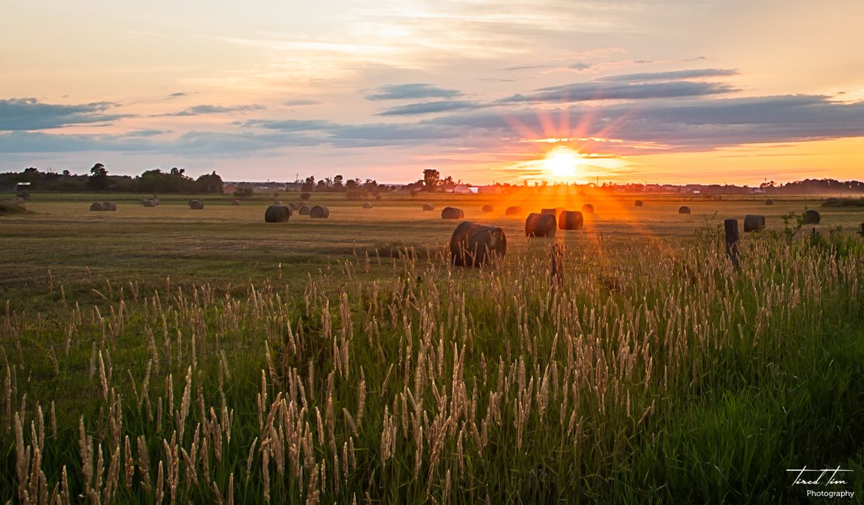 Behm Line Countryside