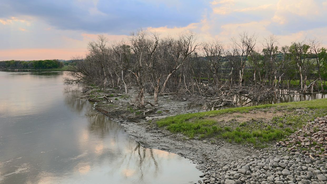 Assiniboine River Bank