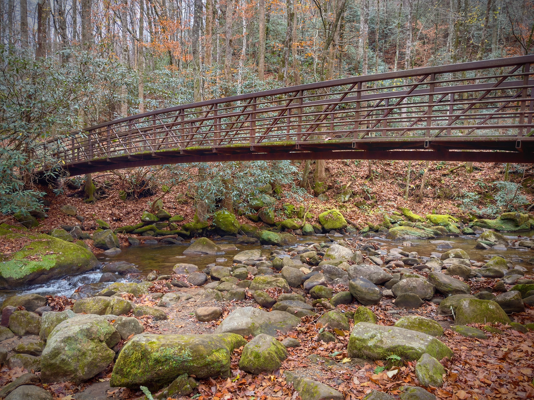 Jones Gap State Park  — Photo by George Cribbs