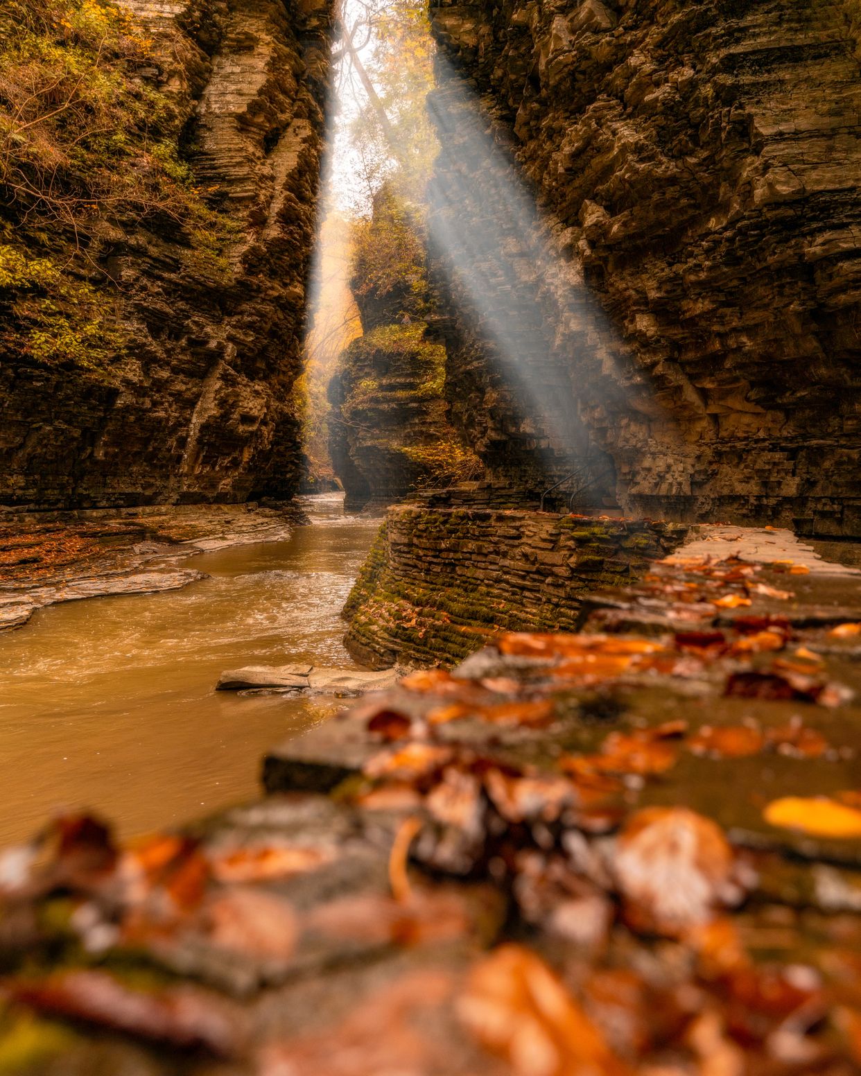 Watkins Glen State Park