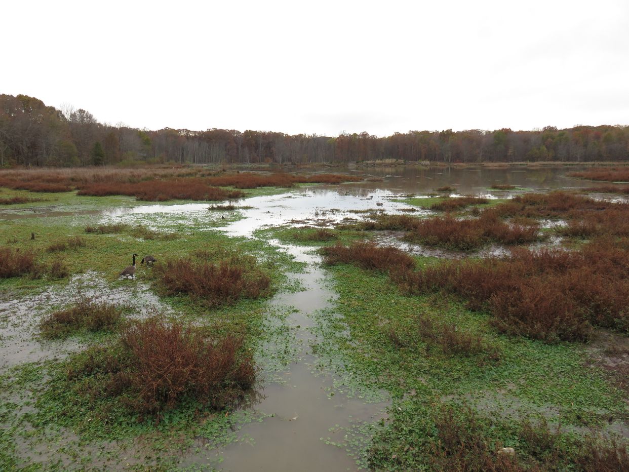 Huntley Meadows Park