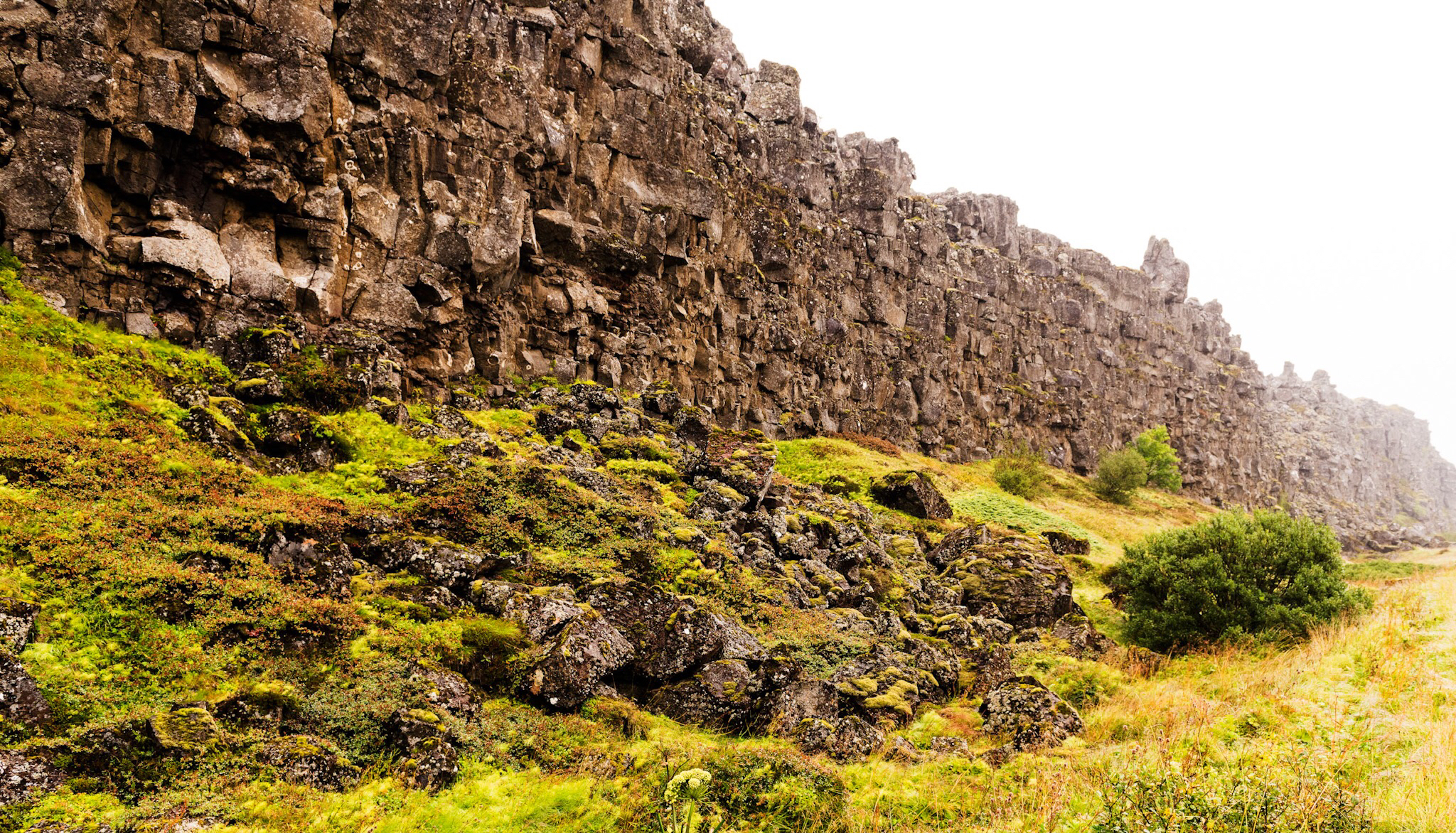 Þingvellir National Park — Photo by Darren Fast