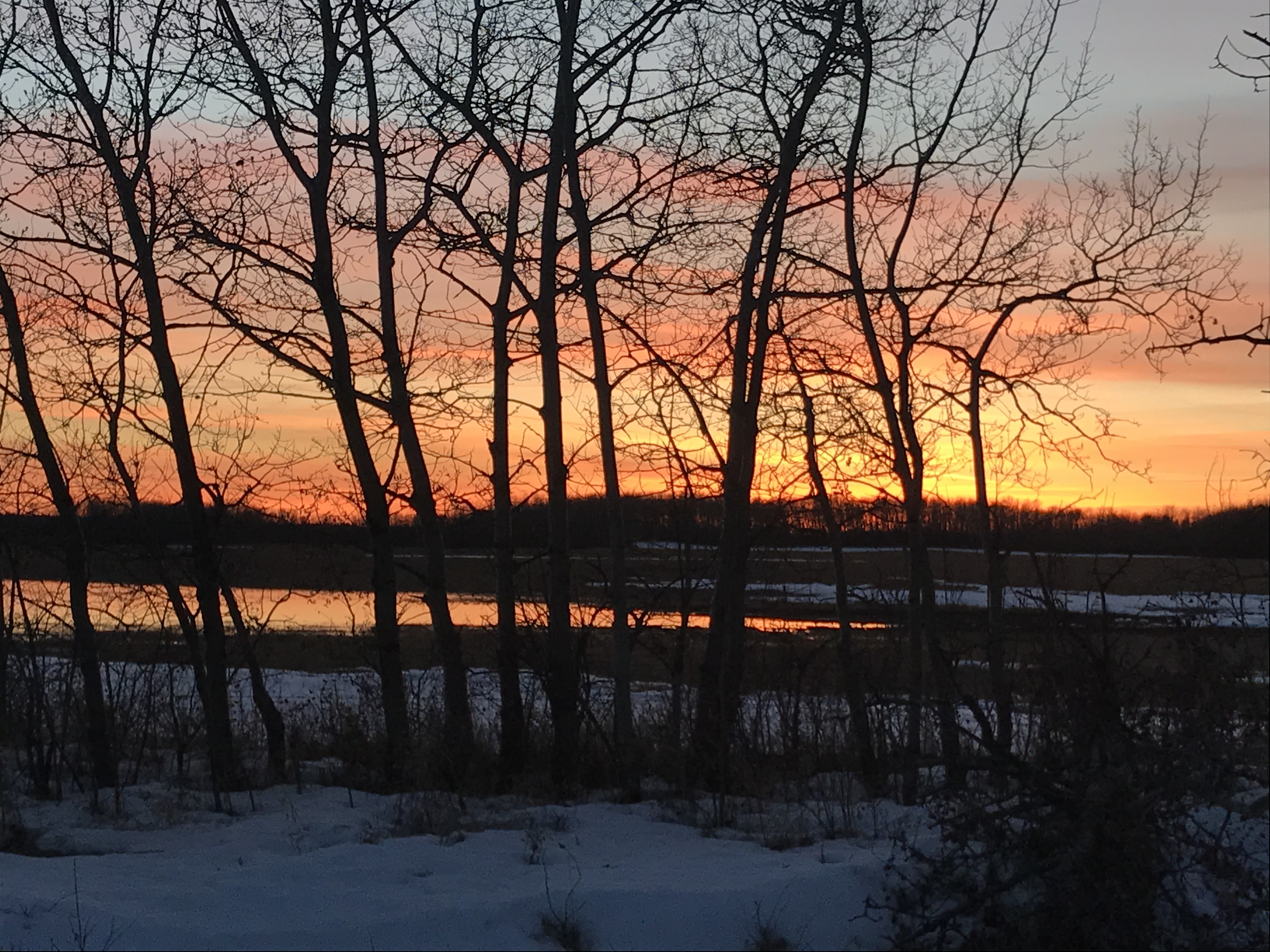 Scenic Countryside View — Photo by ASkarsen