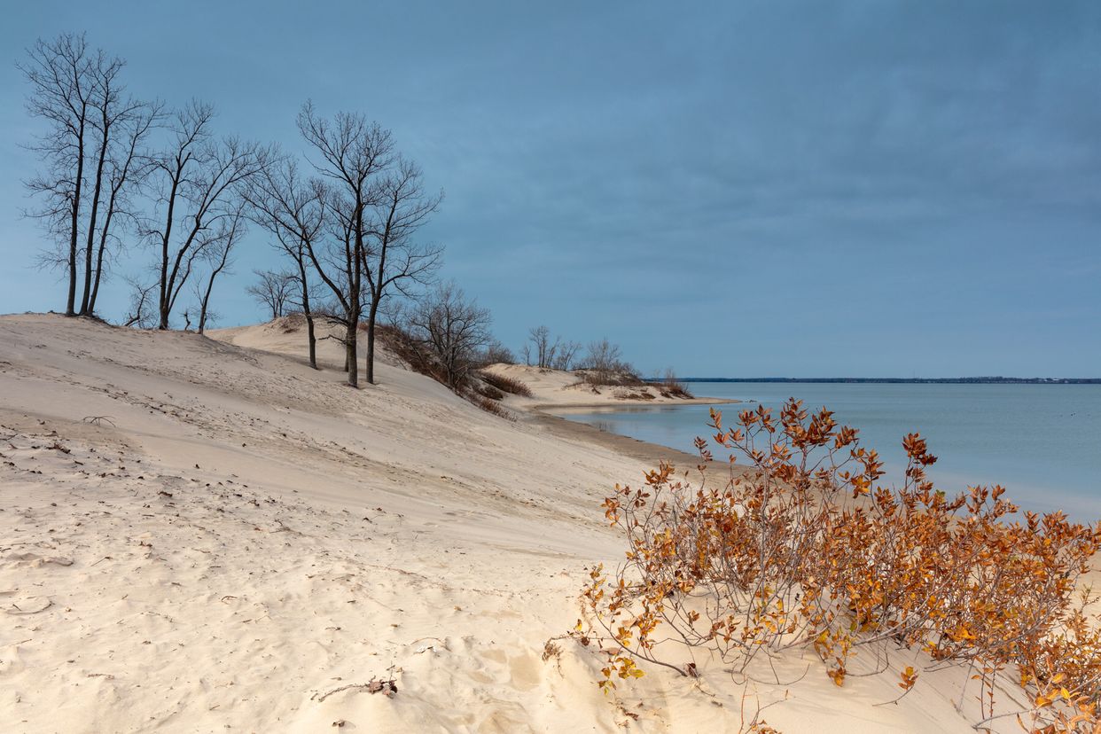 Sand Dunes