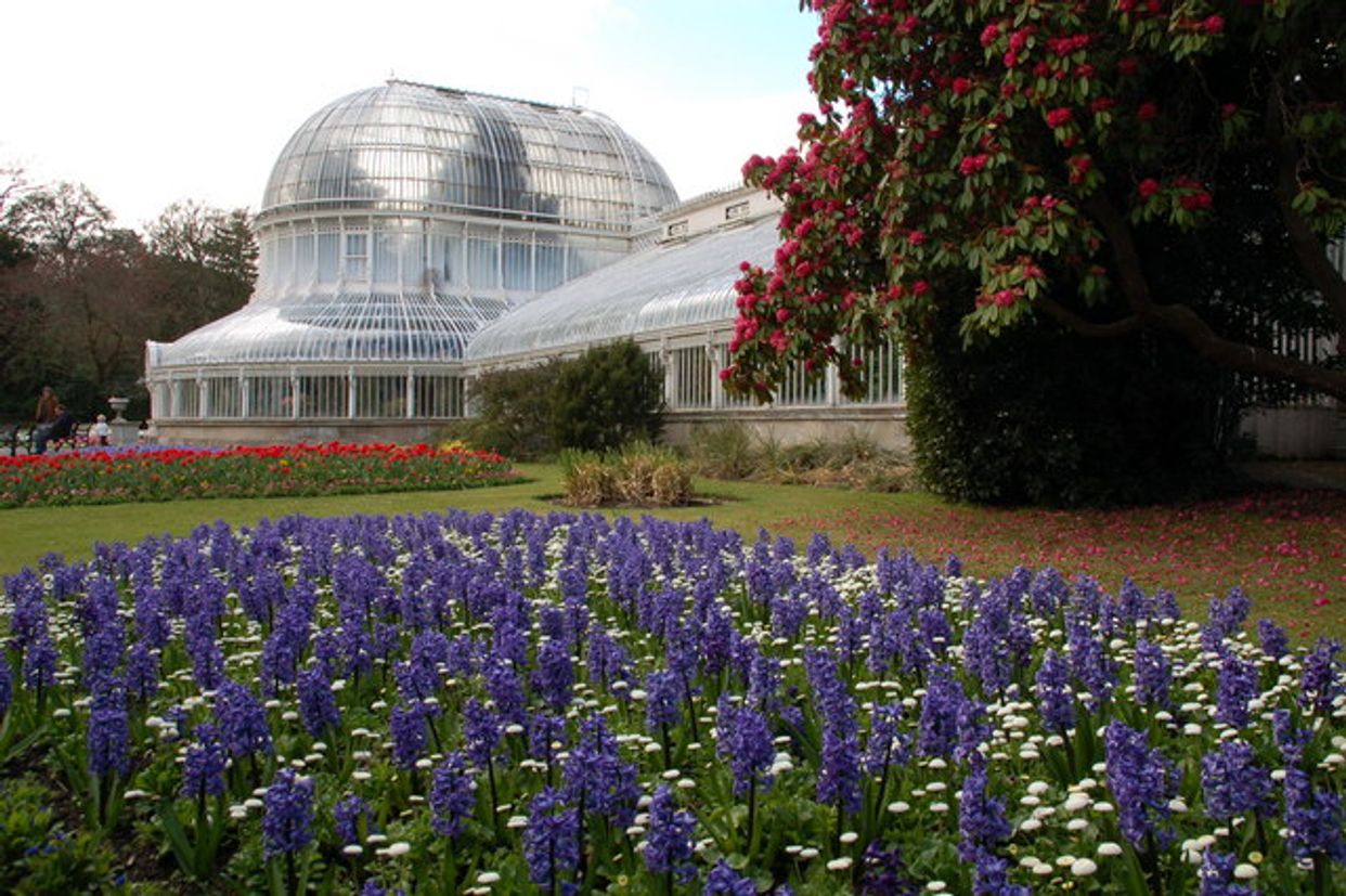 Palm House