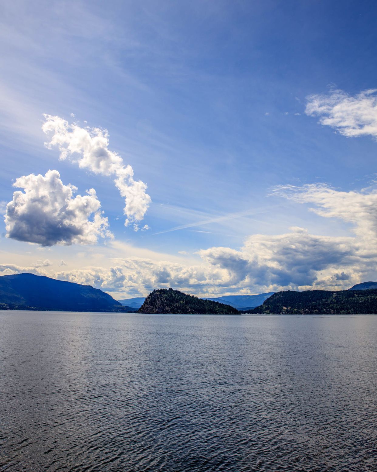 Shuswap Lake View