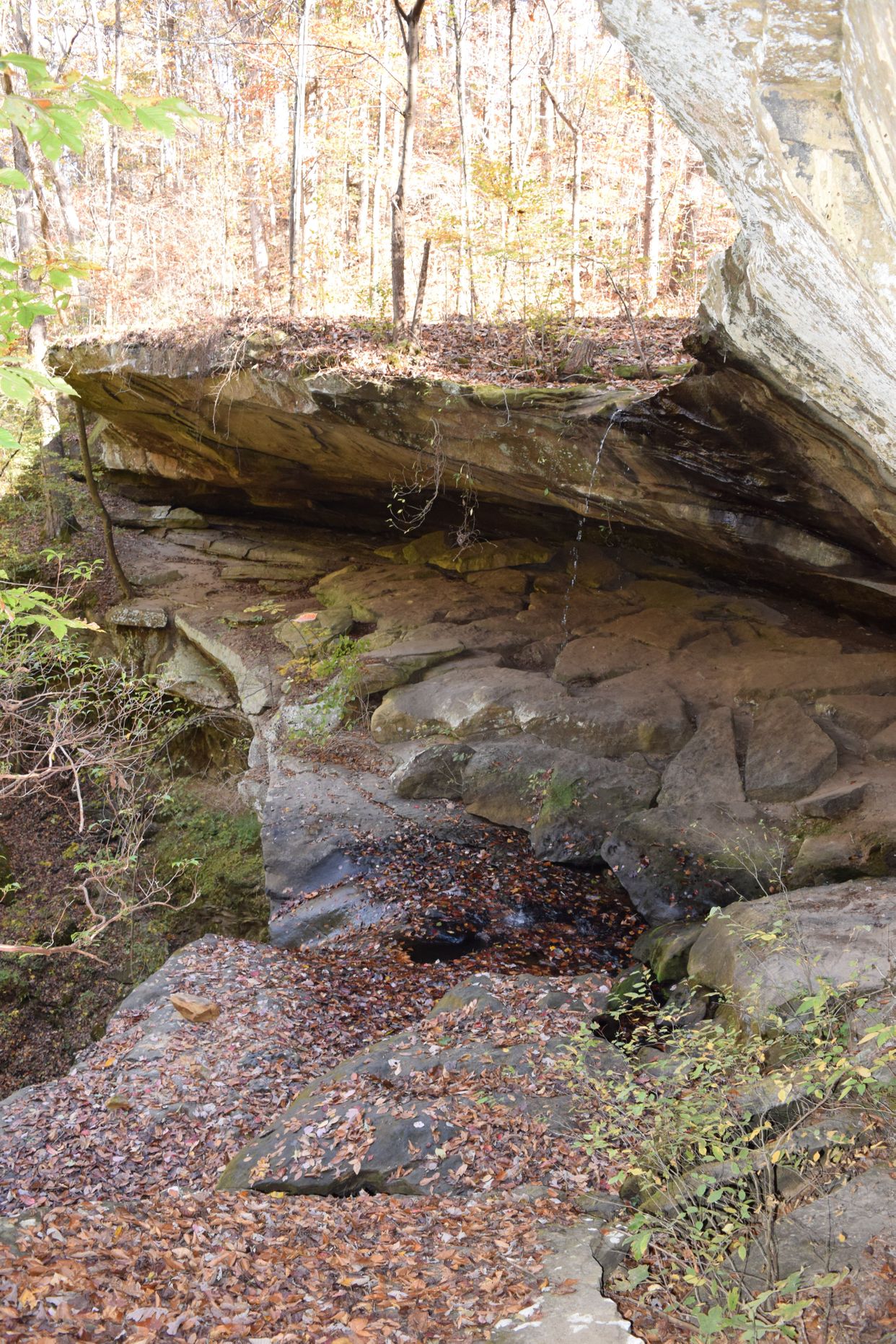 Cane Creek Waterfall