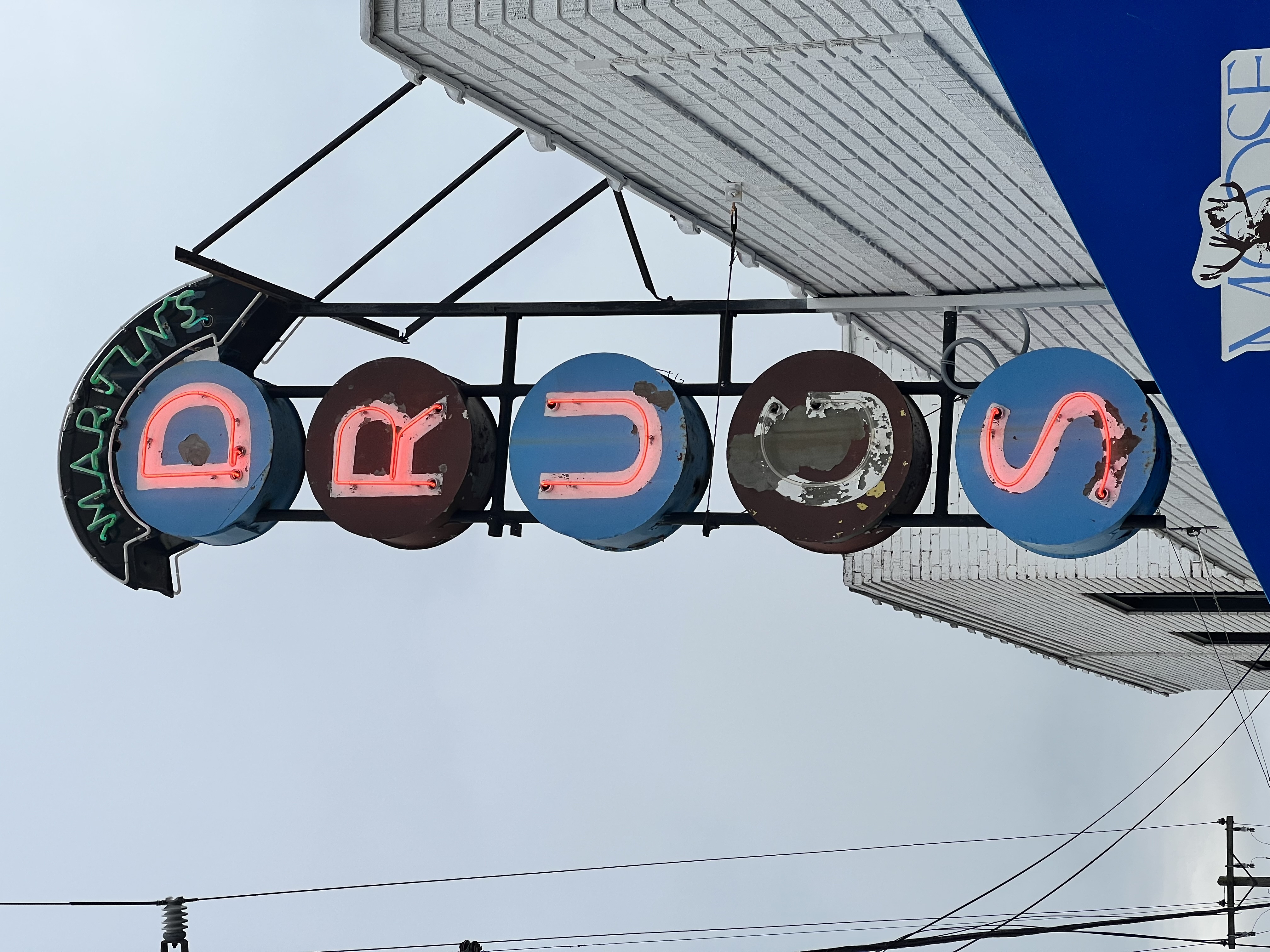 Moose Pharmacy — Photo by swag