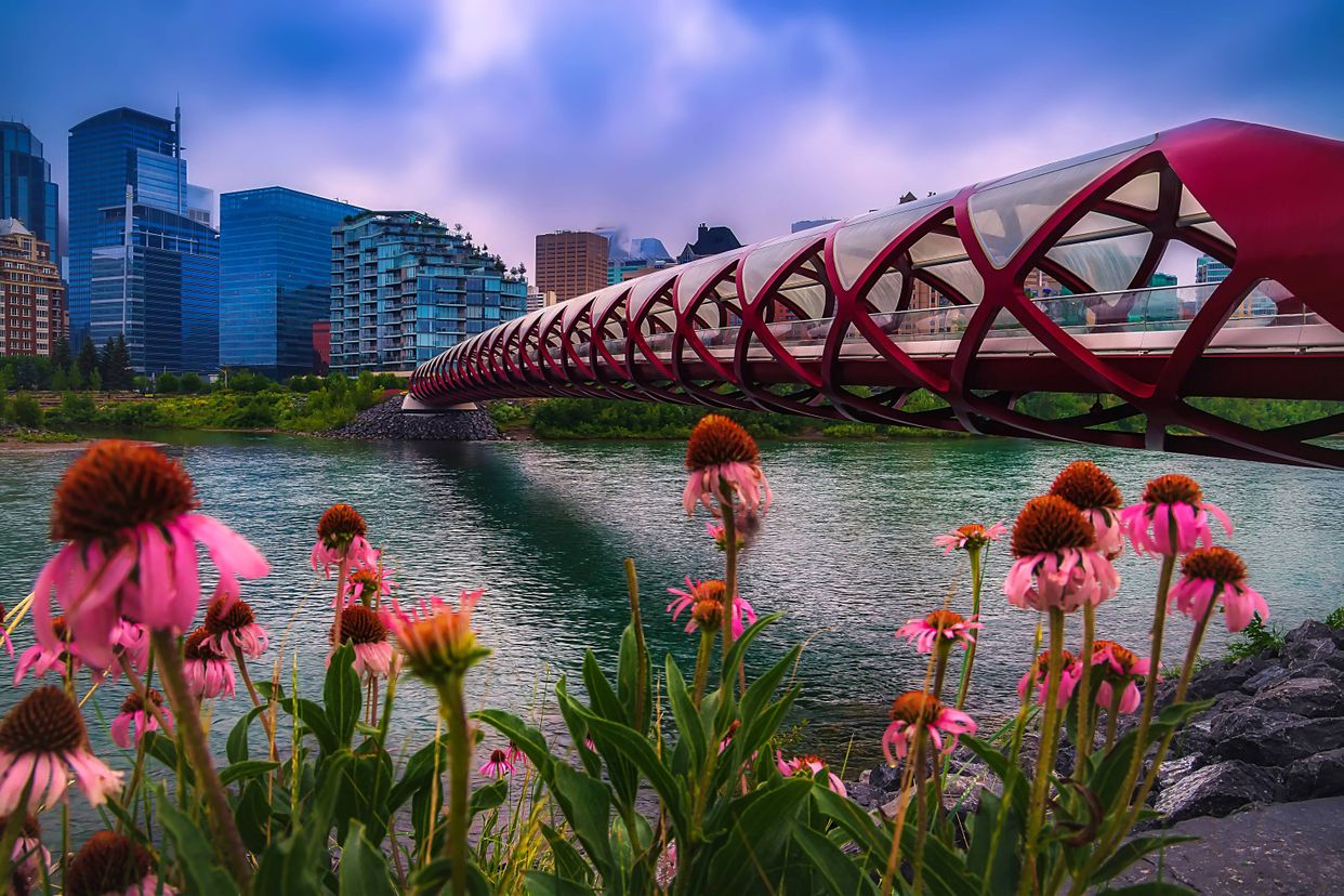 Peace Bridge