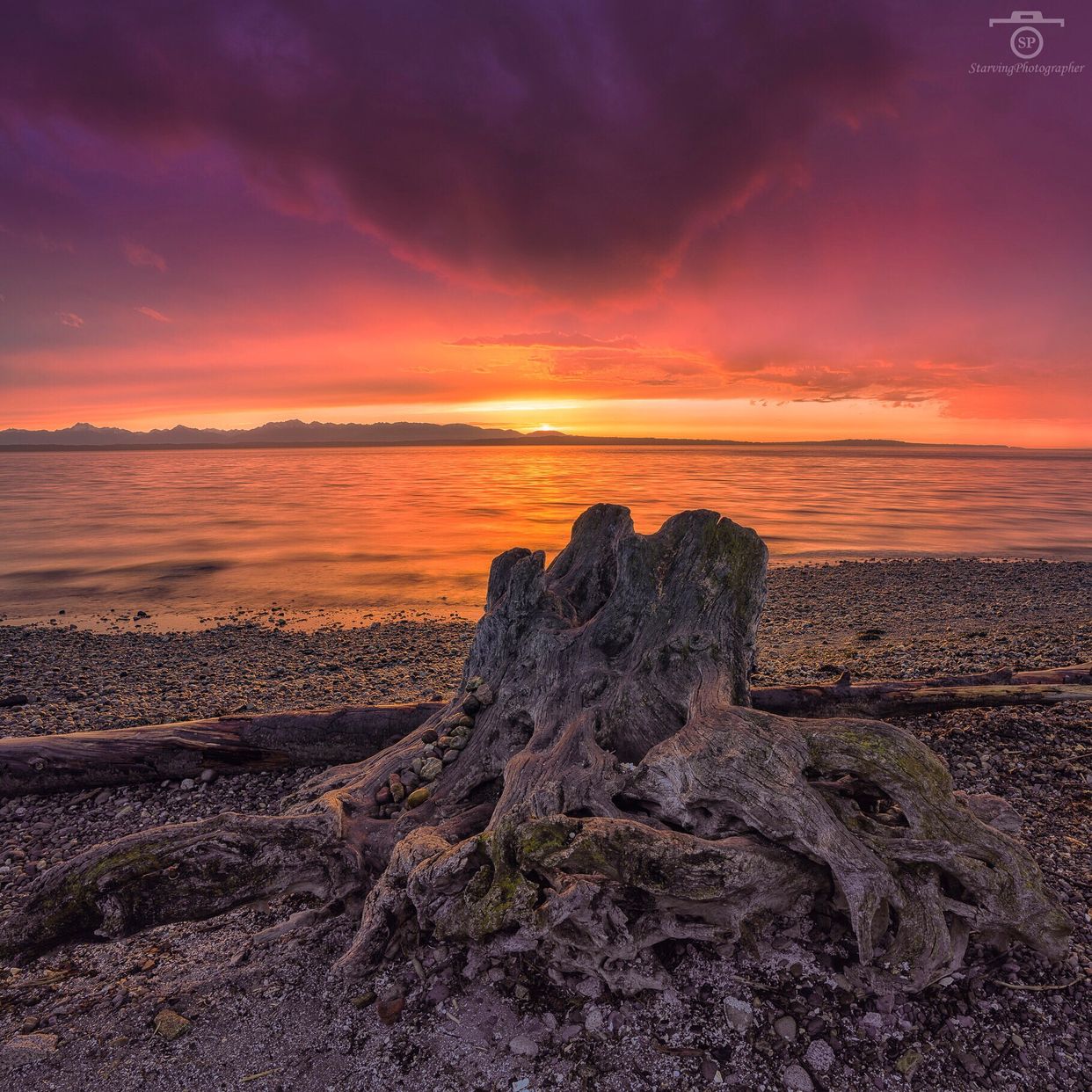Carkeek Park