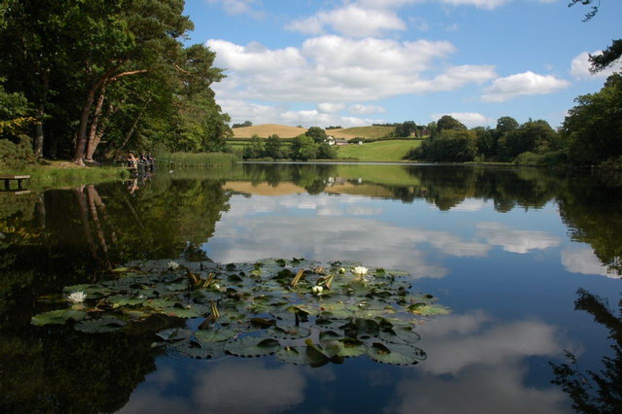 Fachwen Pool