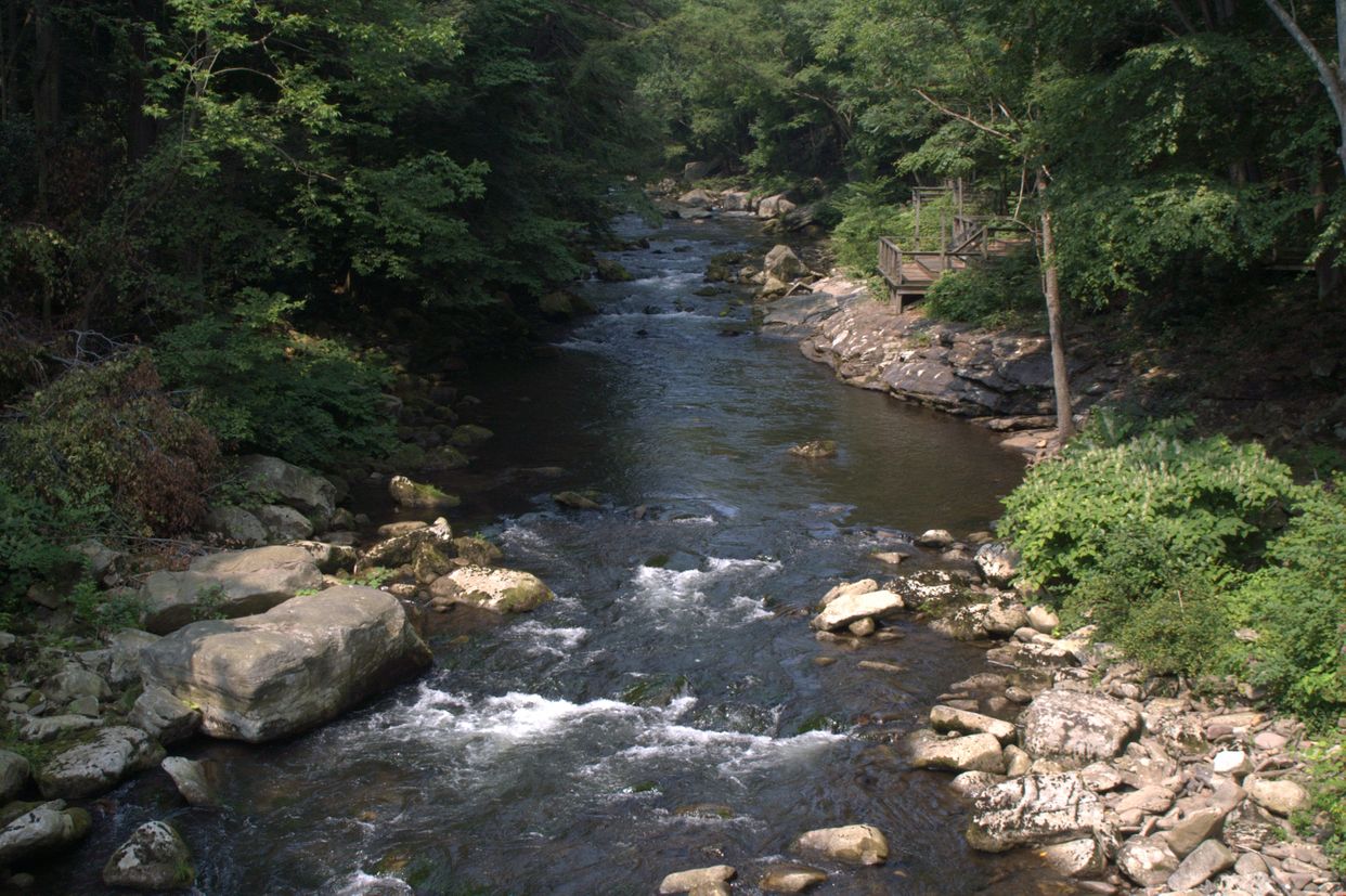 Savage River