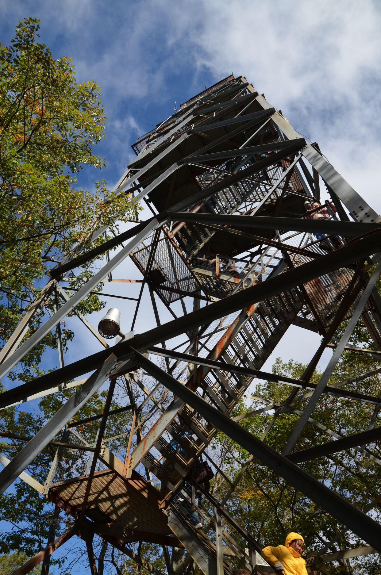 Dorset Lookout Tower 