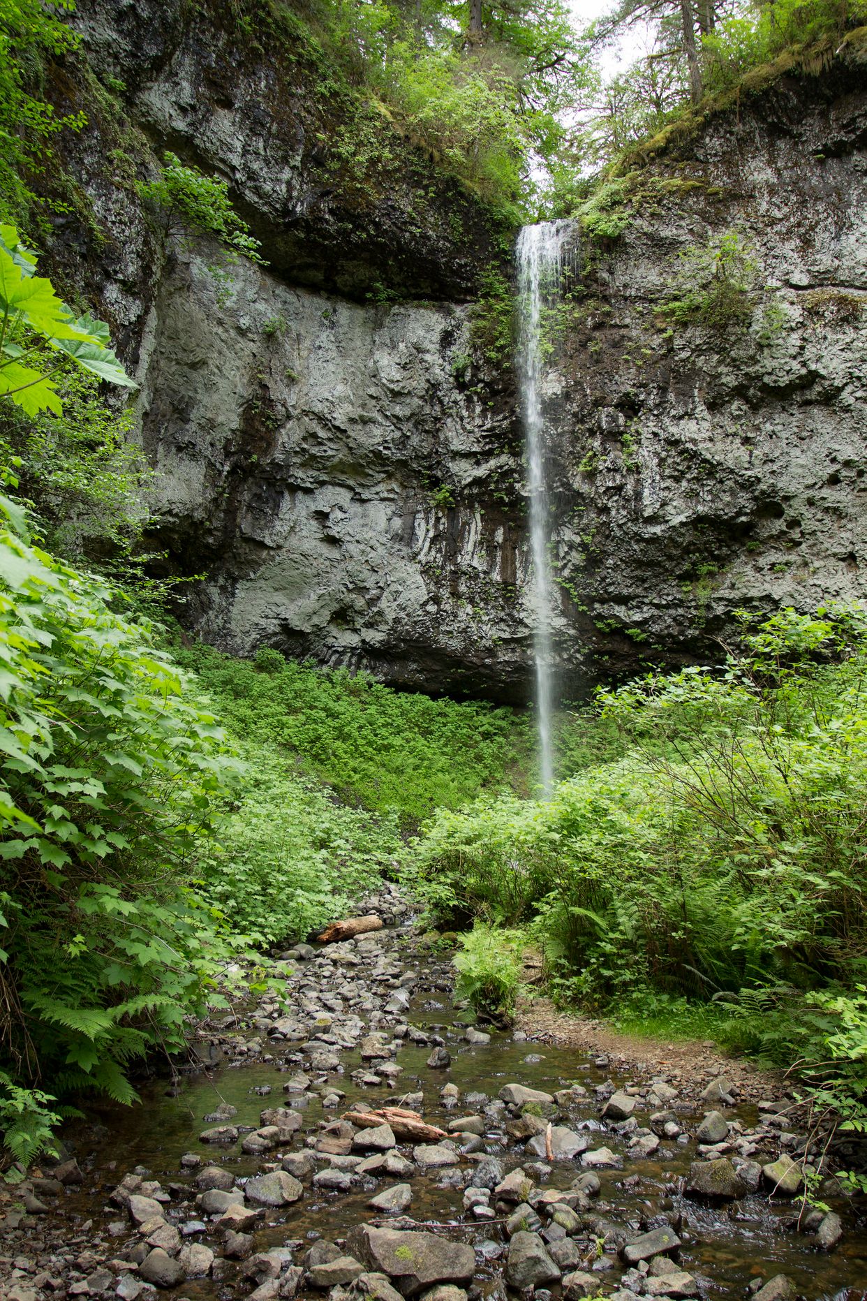 Pheasant Creek Falls