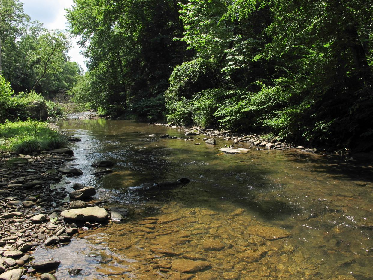 Loop Creek