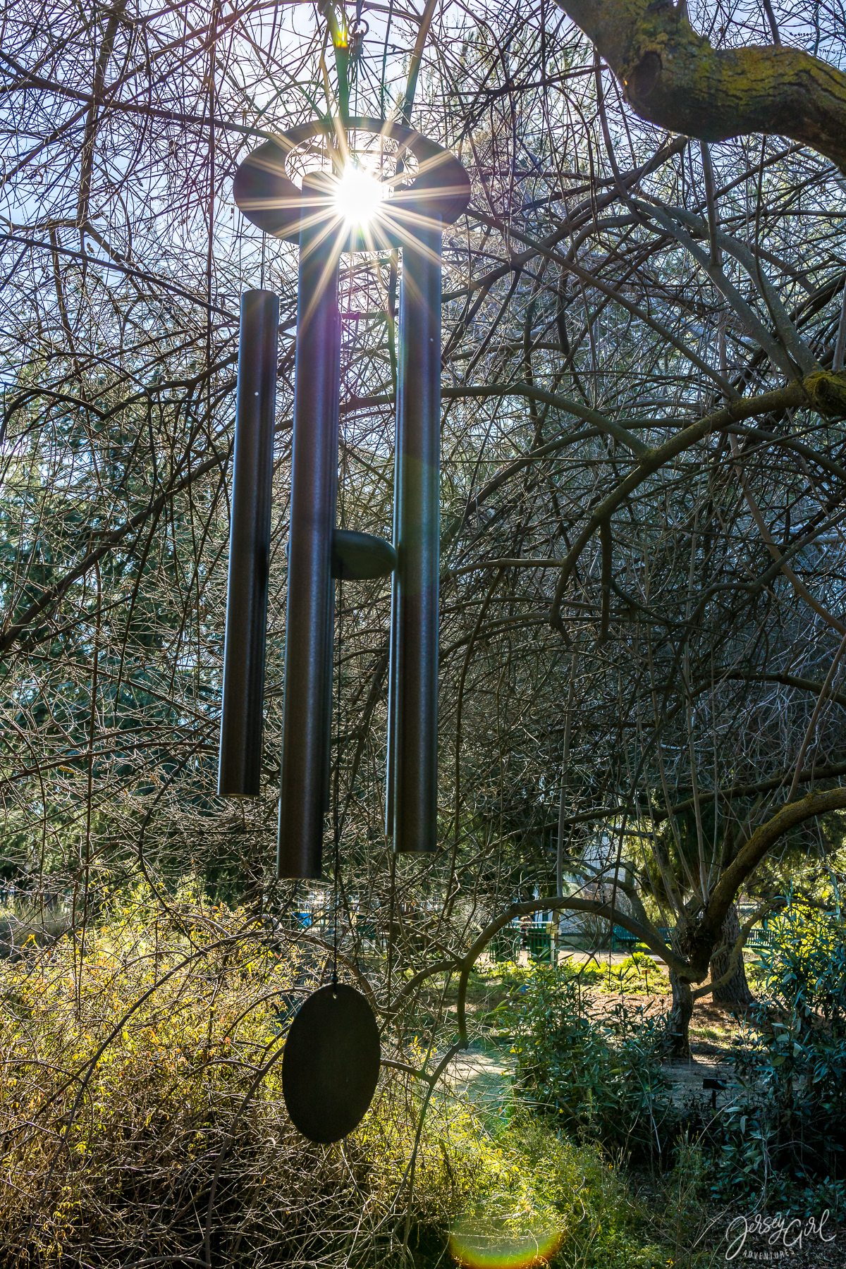 Clovis Botanical Garden — Photo by @JerseyGirl.Adventures