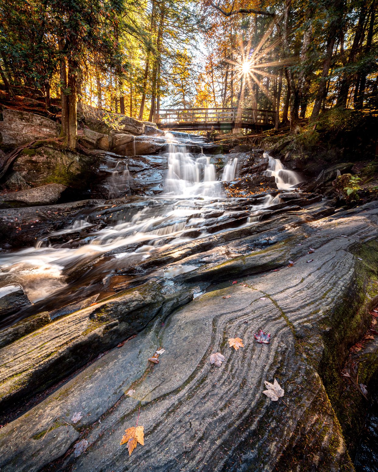 Potts Falls