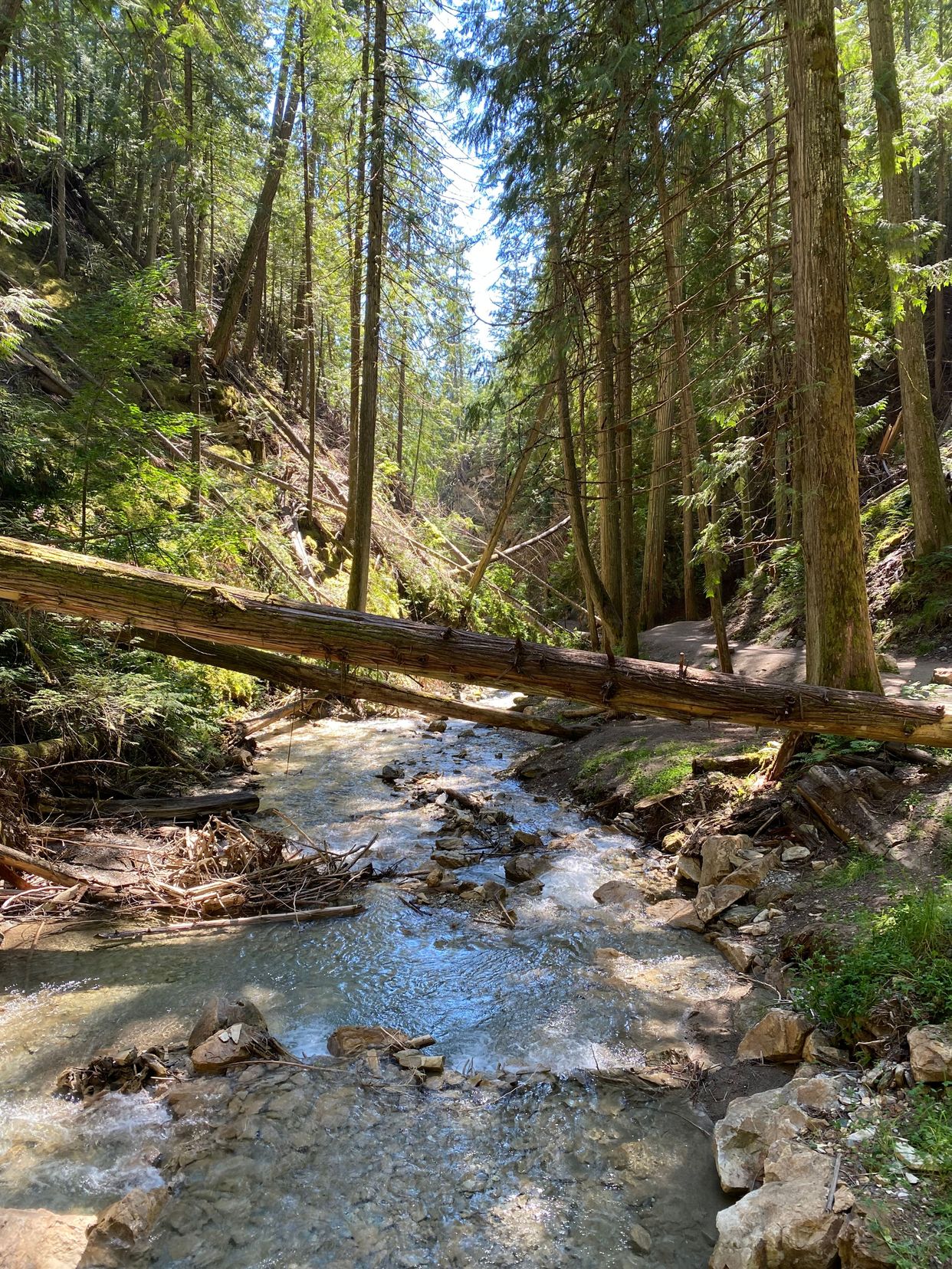 Margaret Falls Trail 