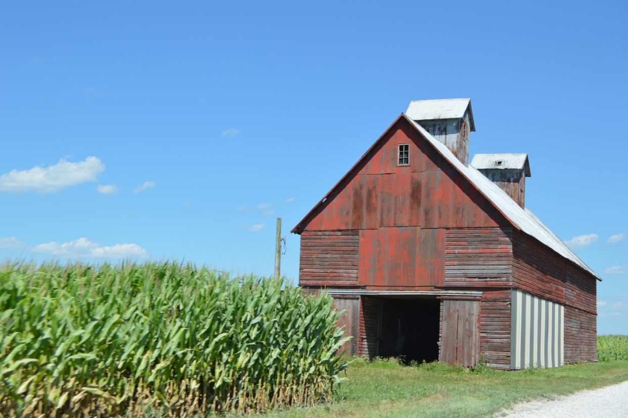 Barn in the Cornfield