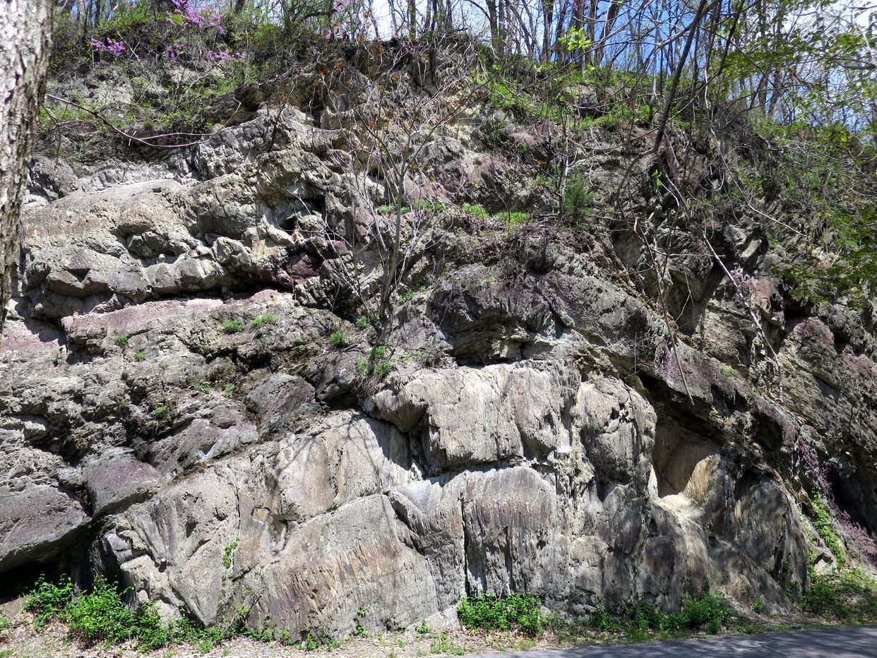 Devil's Eyebrow Anticline