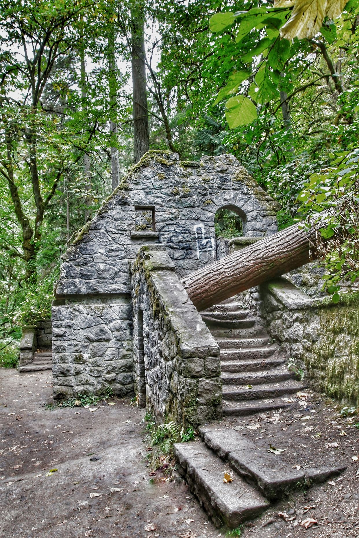 Witch's Castle