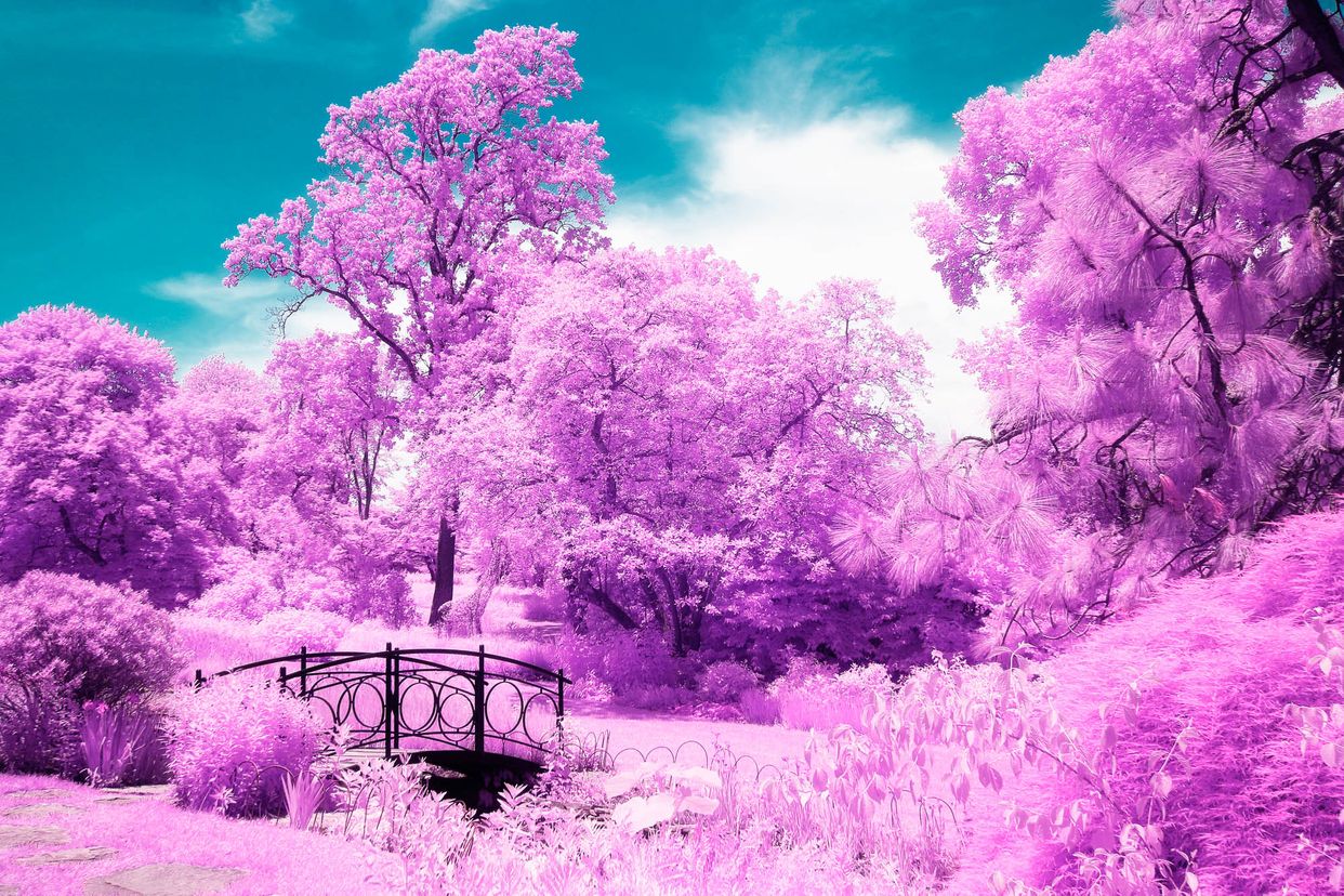 Ladew Gardens