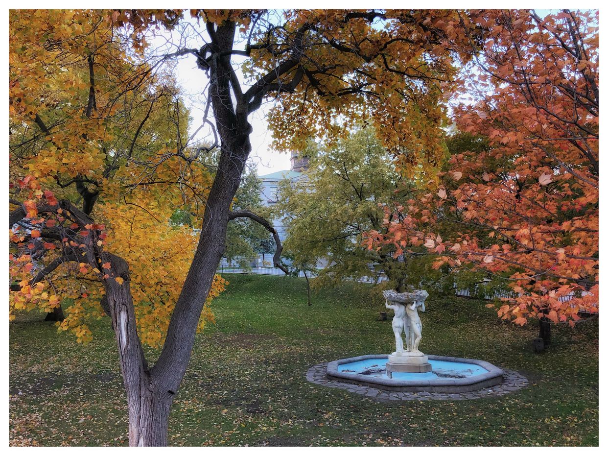 McGill University Grounds
