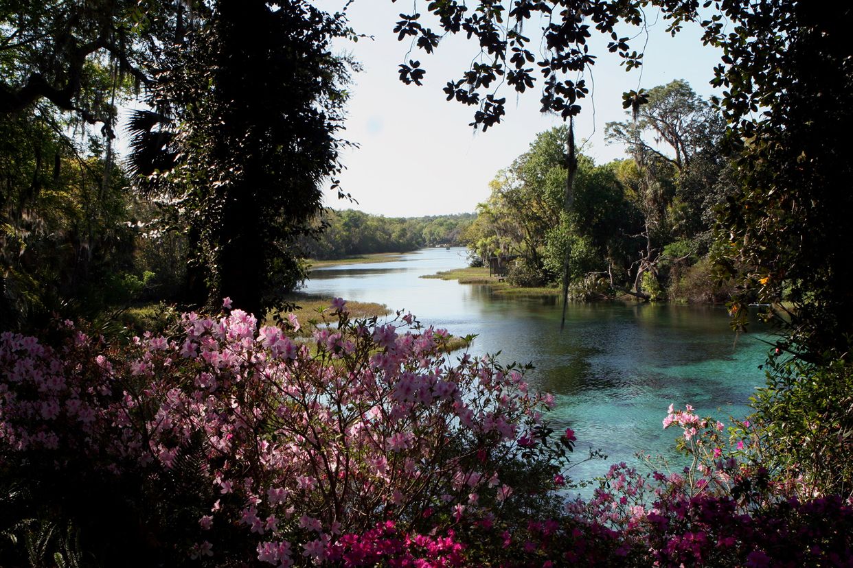 Rainbow Springs State Park