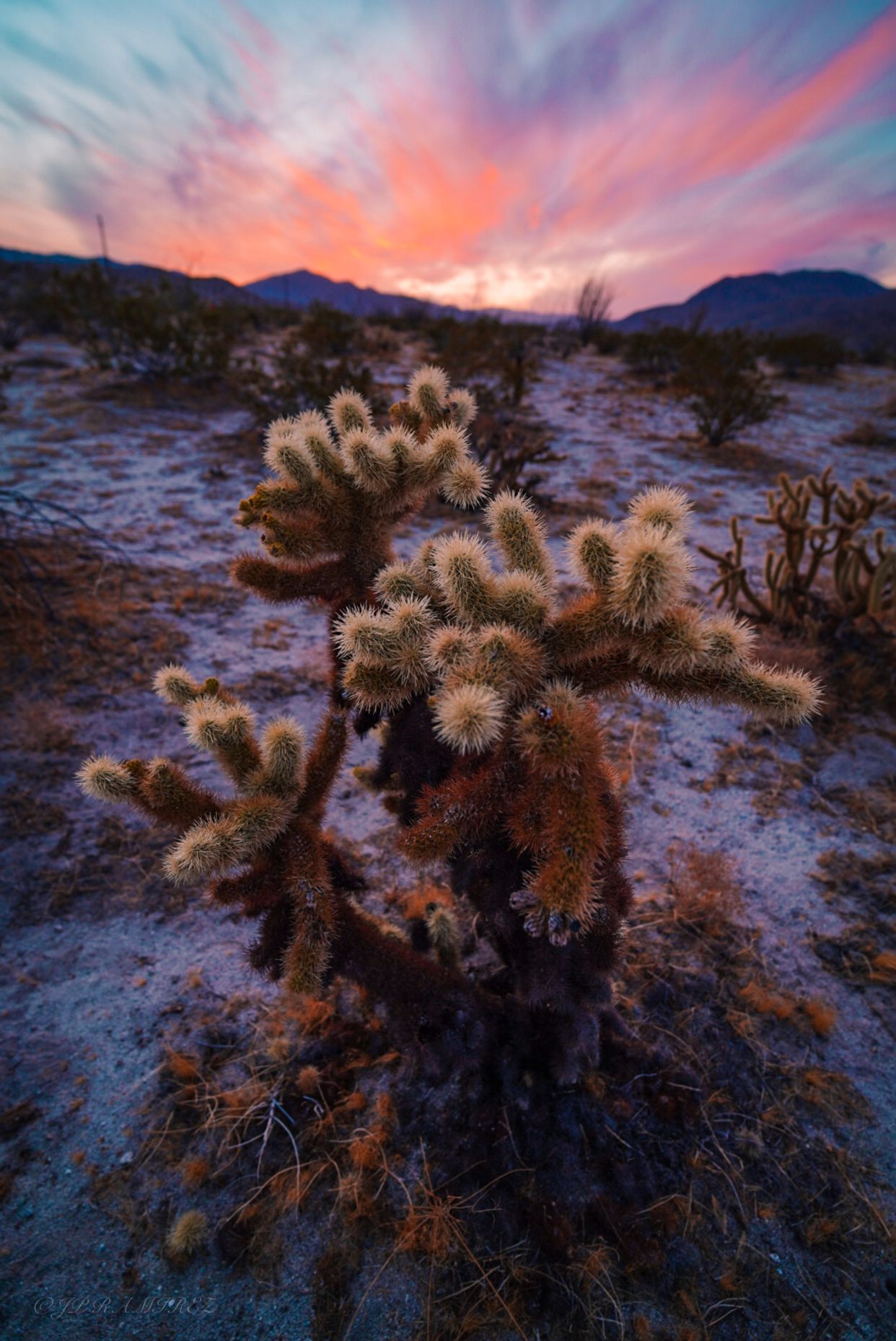 Anza-Borrego Desert State Park