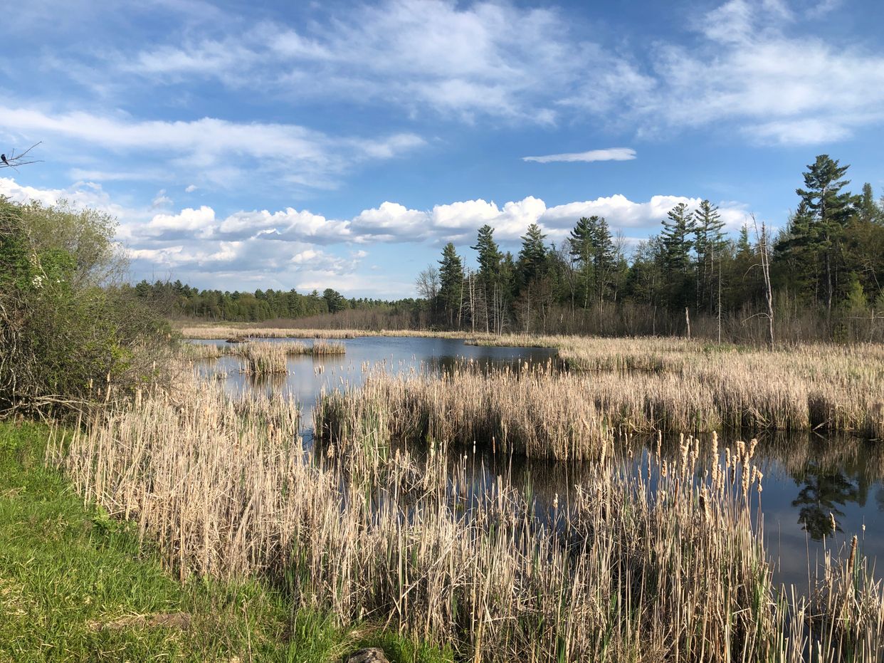 South March Highlands Conservation Forest