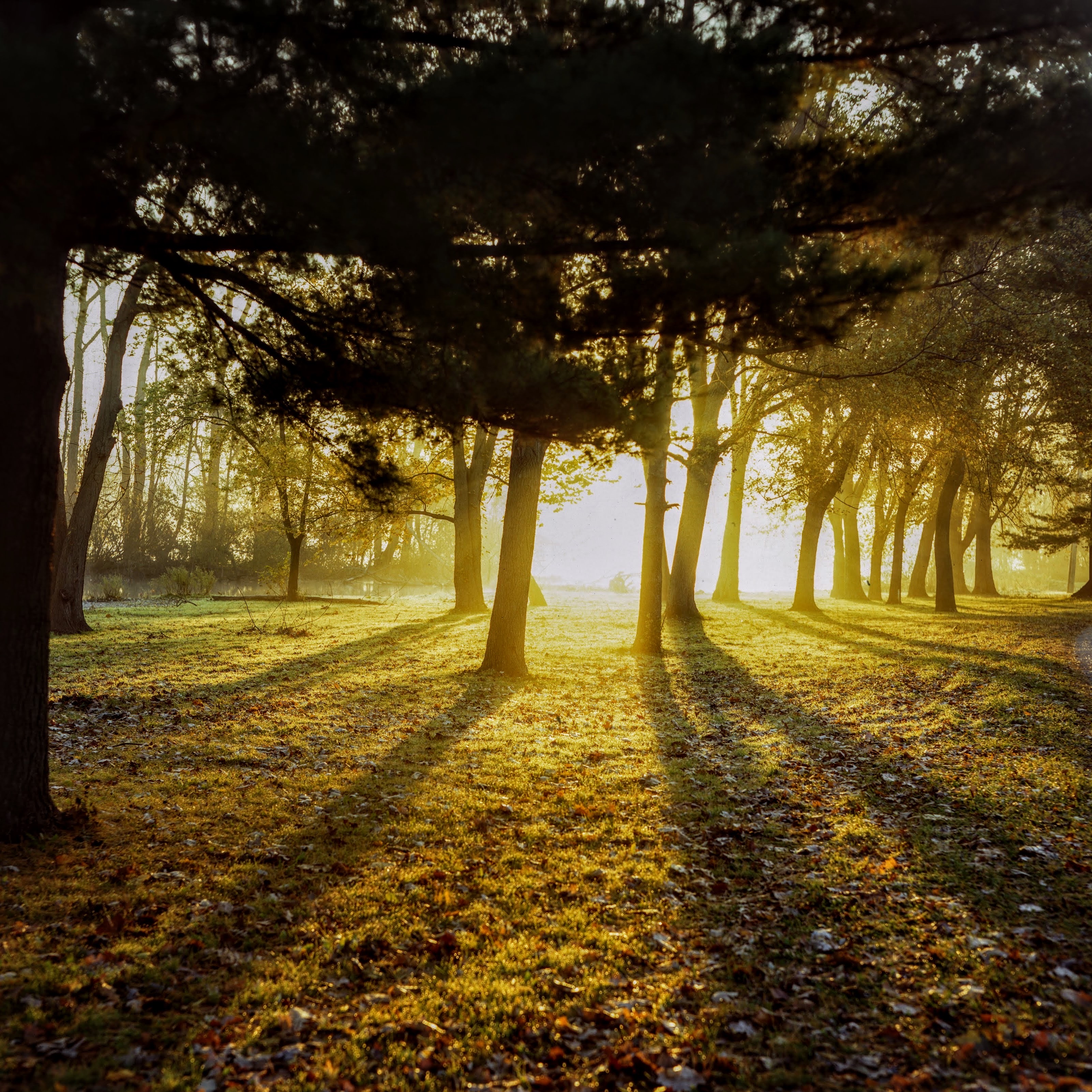 Riverview Park — Photo by Andrew Sawyer